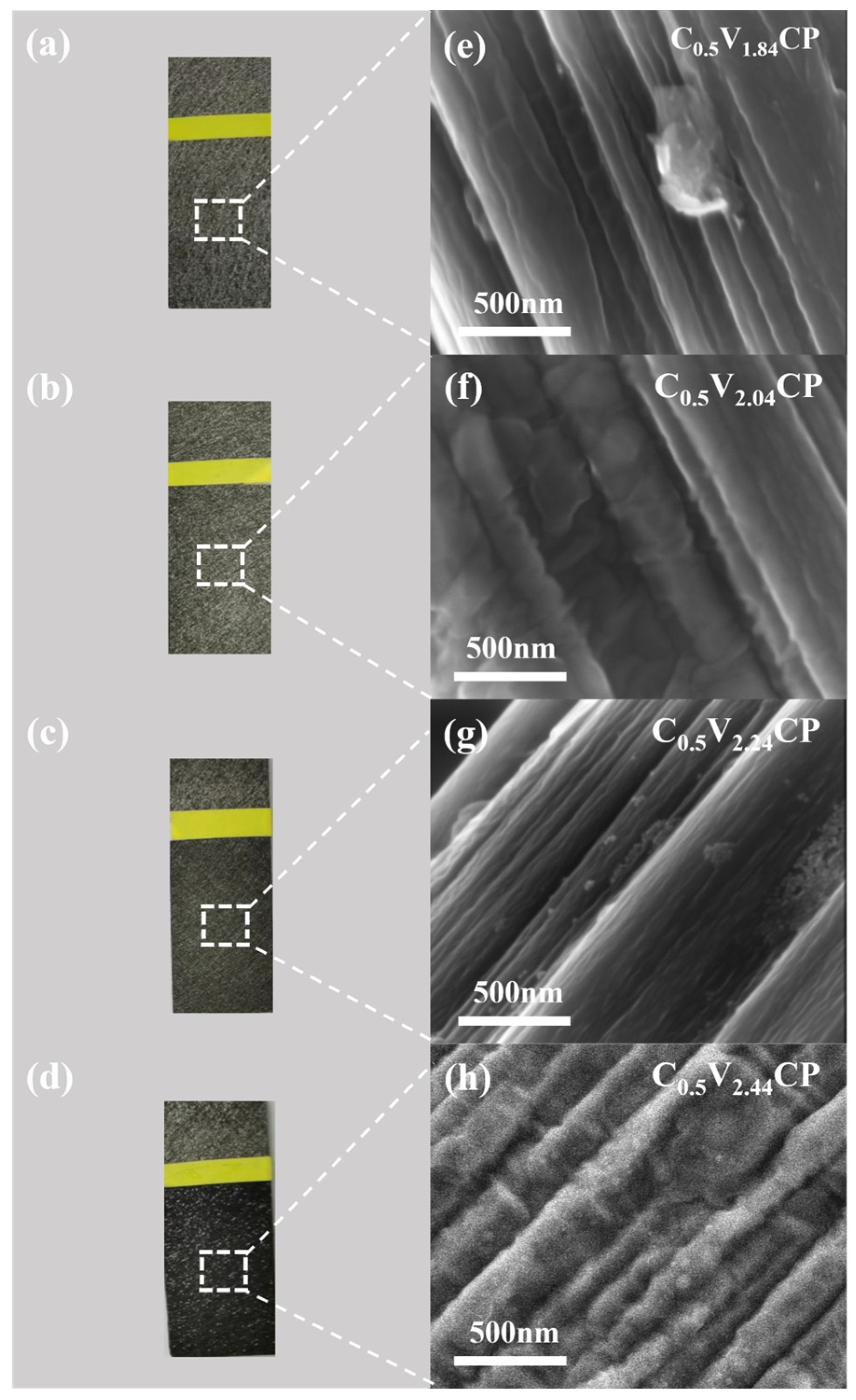 Catalysts 14 00300 g001