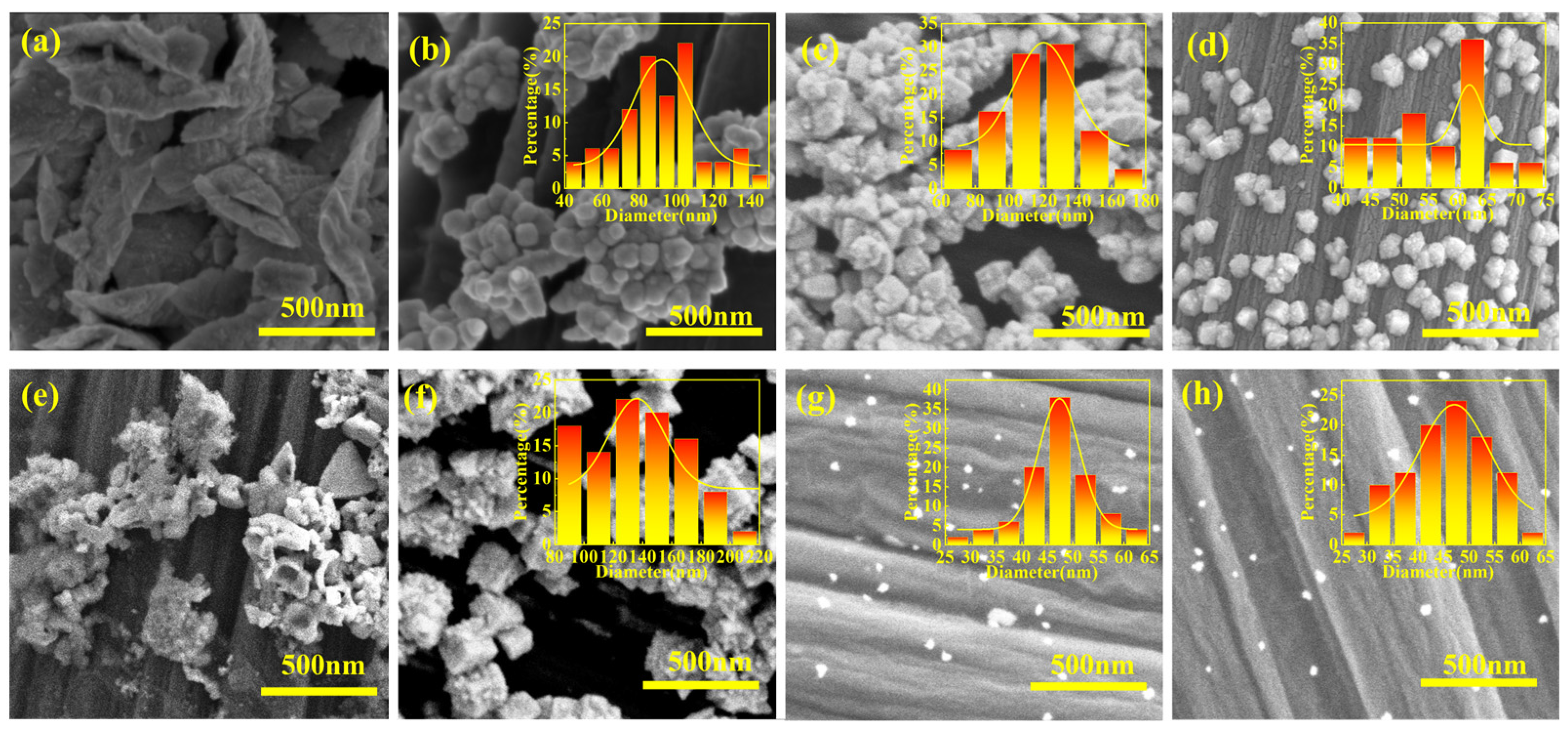 Catalysts 14 00300 g005