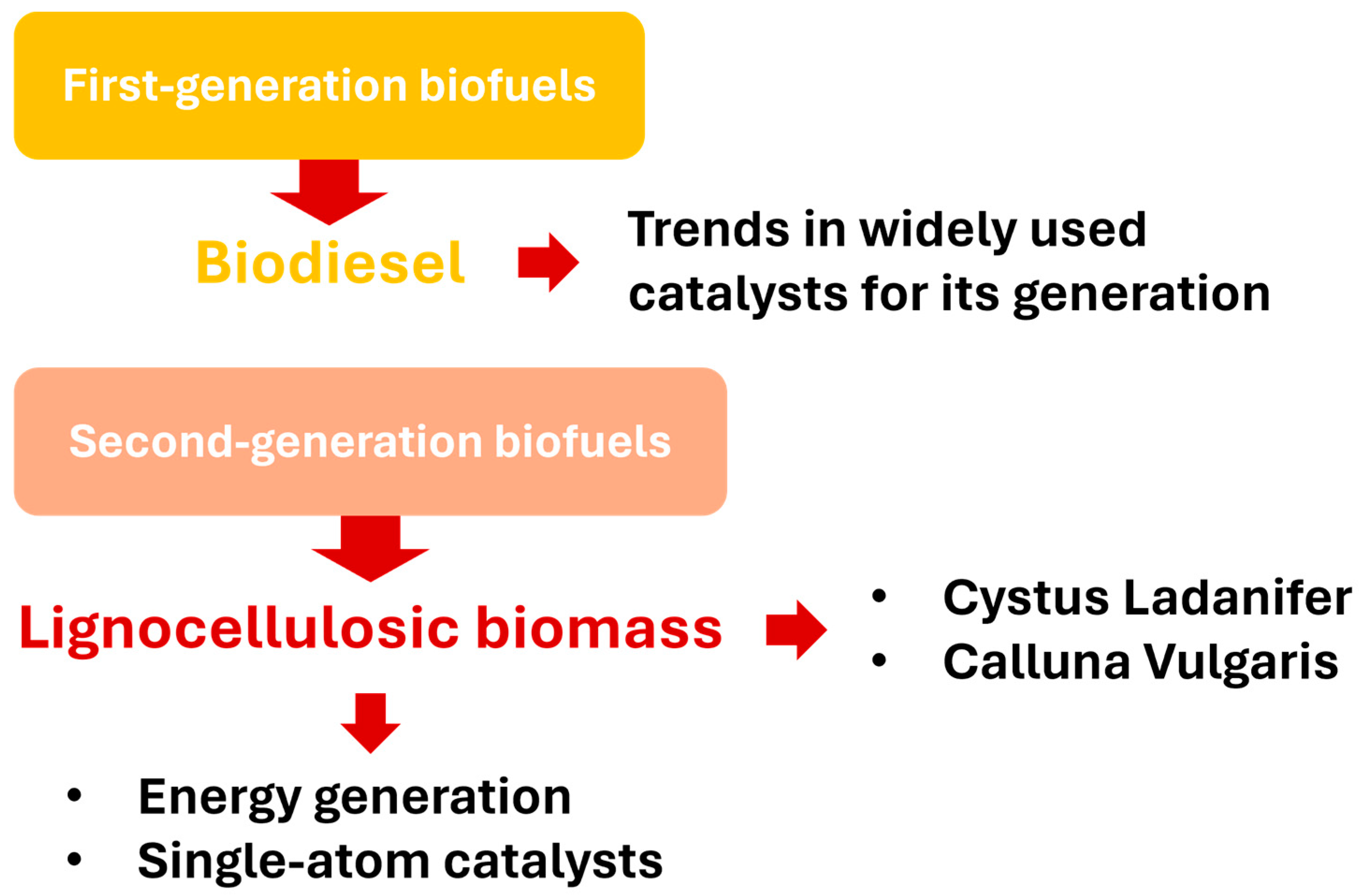 Catalysts 14 00301 g001