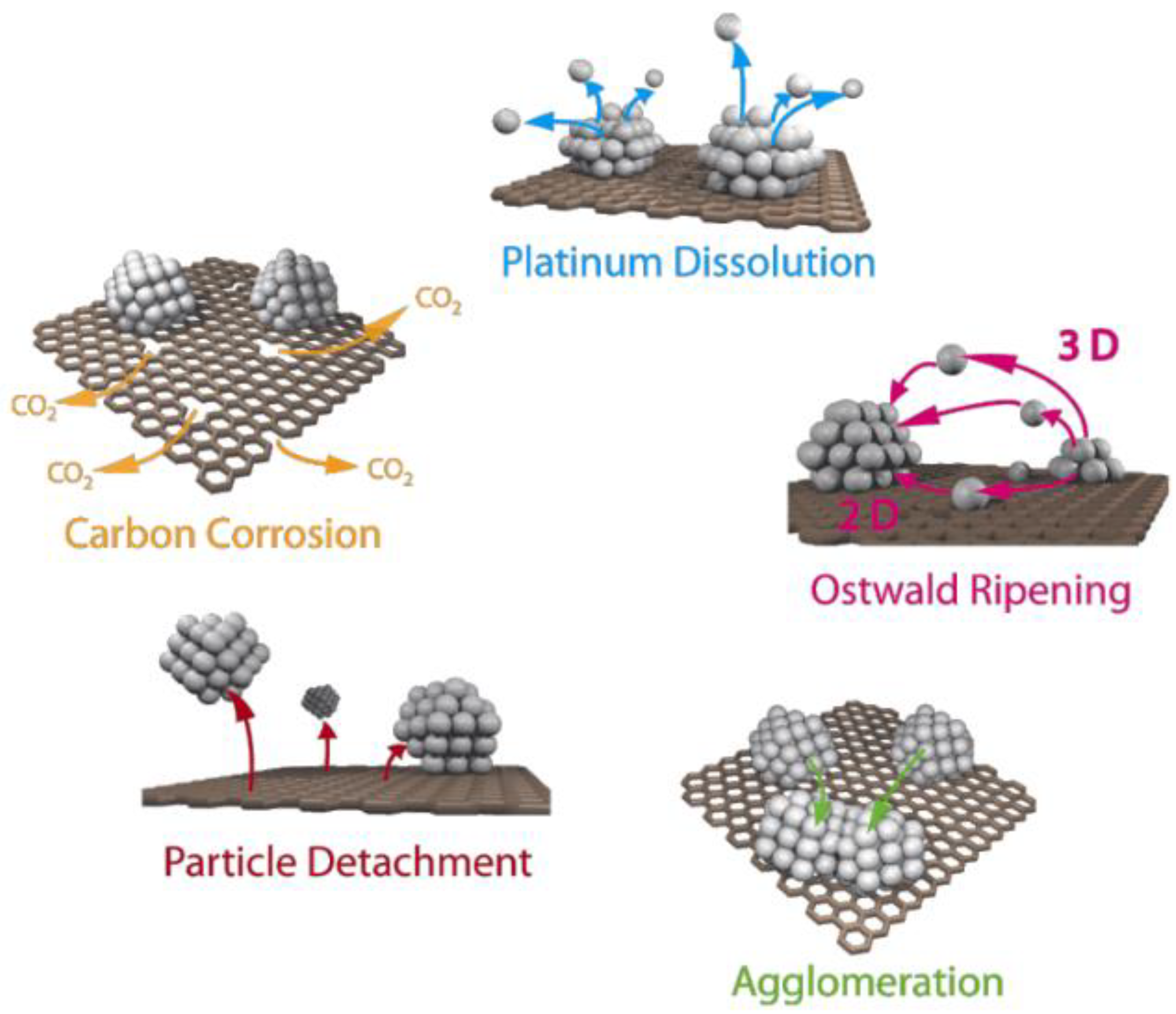 Catalysts 14 00303 g001