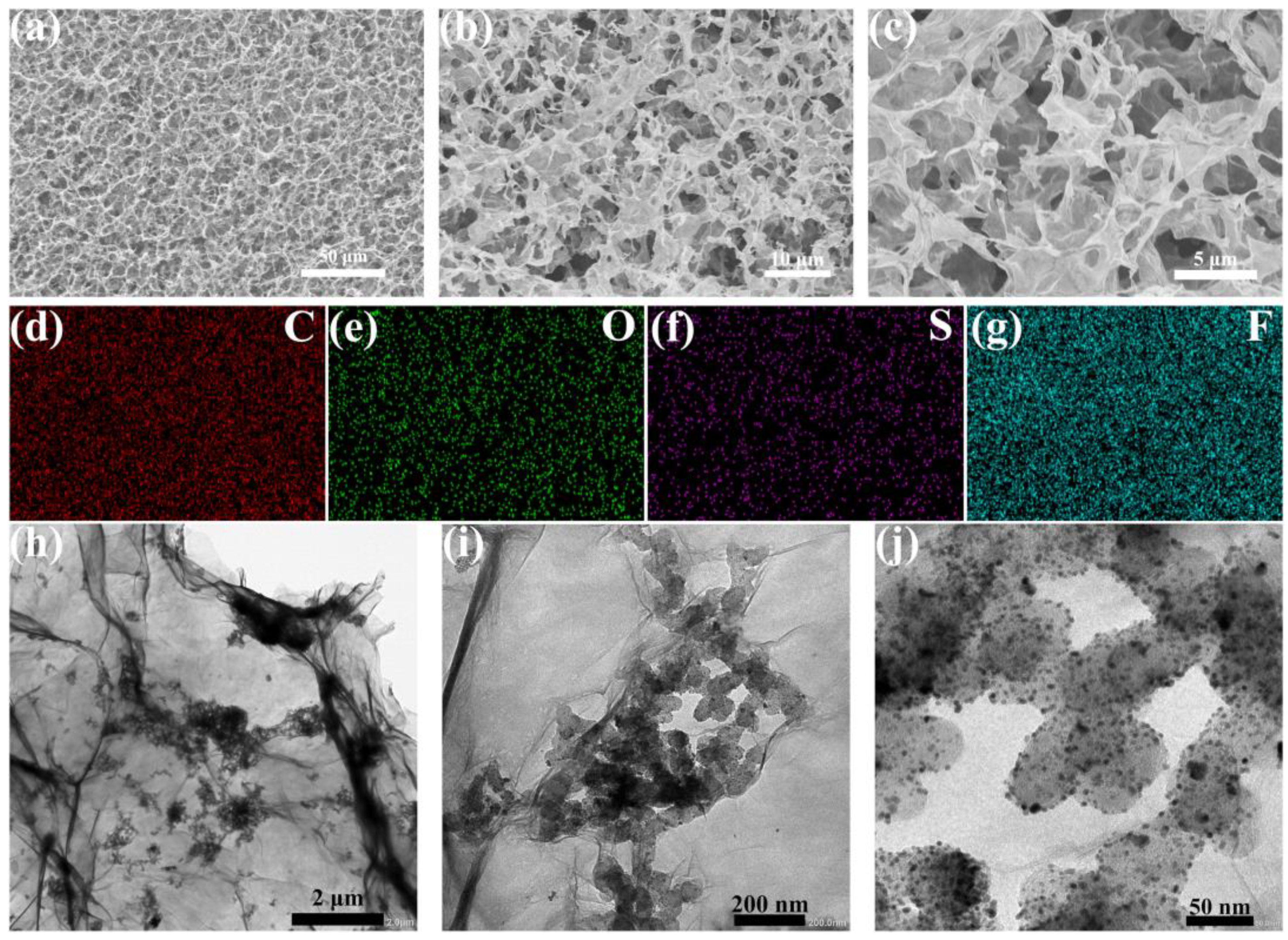 Catalysts 14 00303 g002