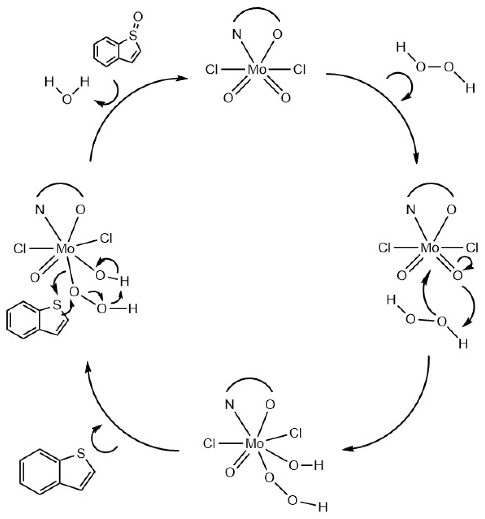 Catalysts 14 00305 g008