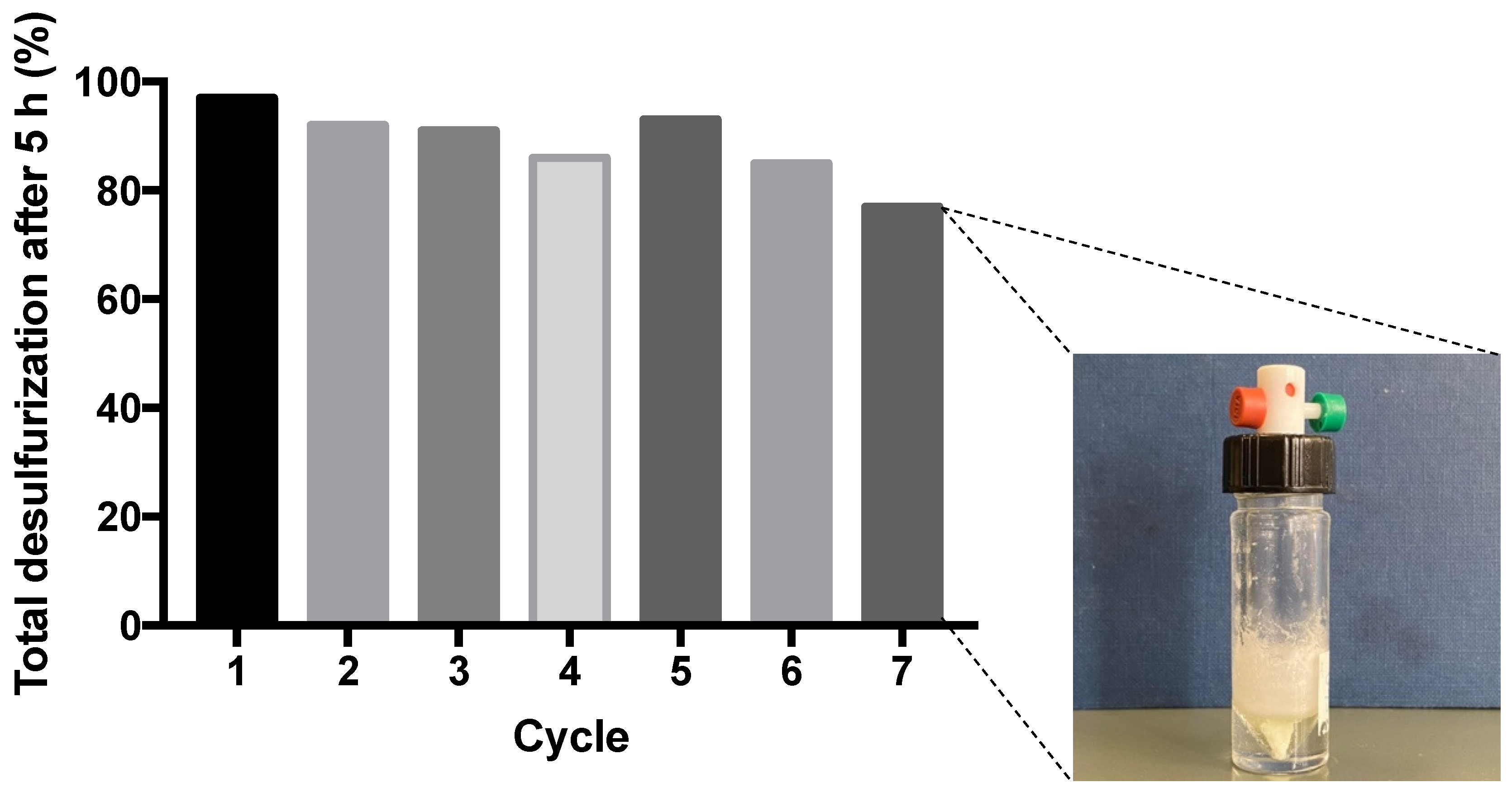 Catalysts 14 00305 g010