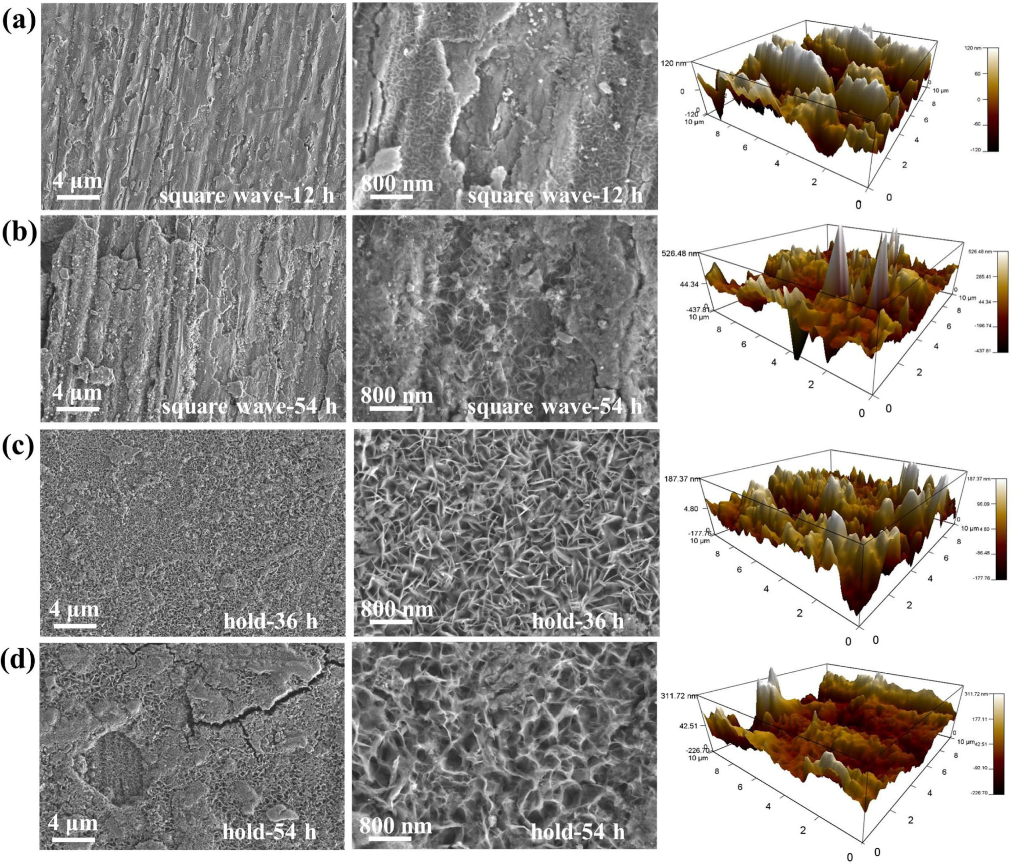 Catalysts 14 00307 g004 Catalysts 14 00307 g004