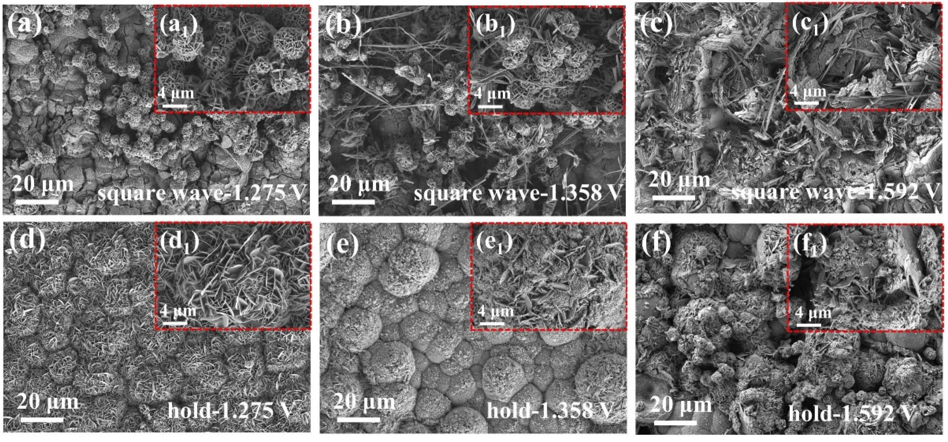 Catalysts 14 00307 g009 Catalysts 14 00307 g009