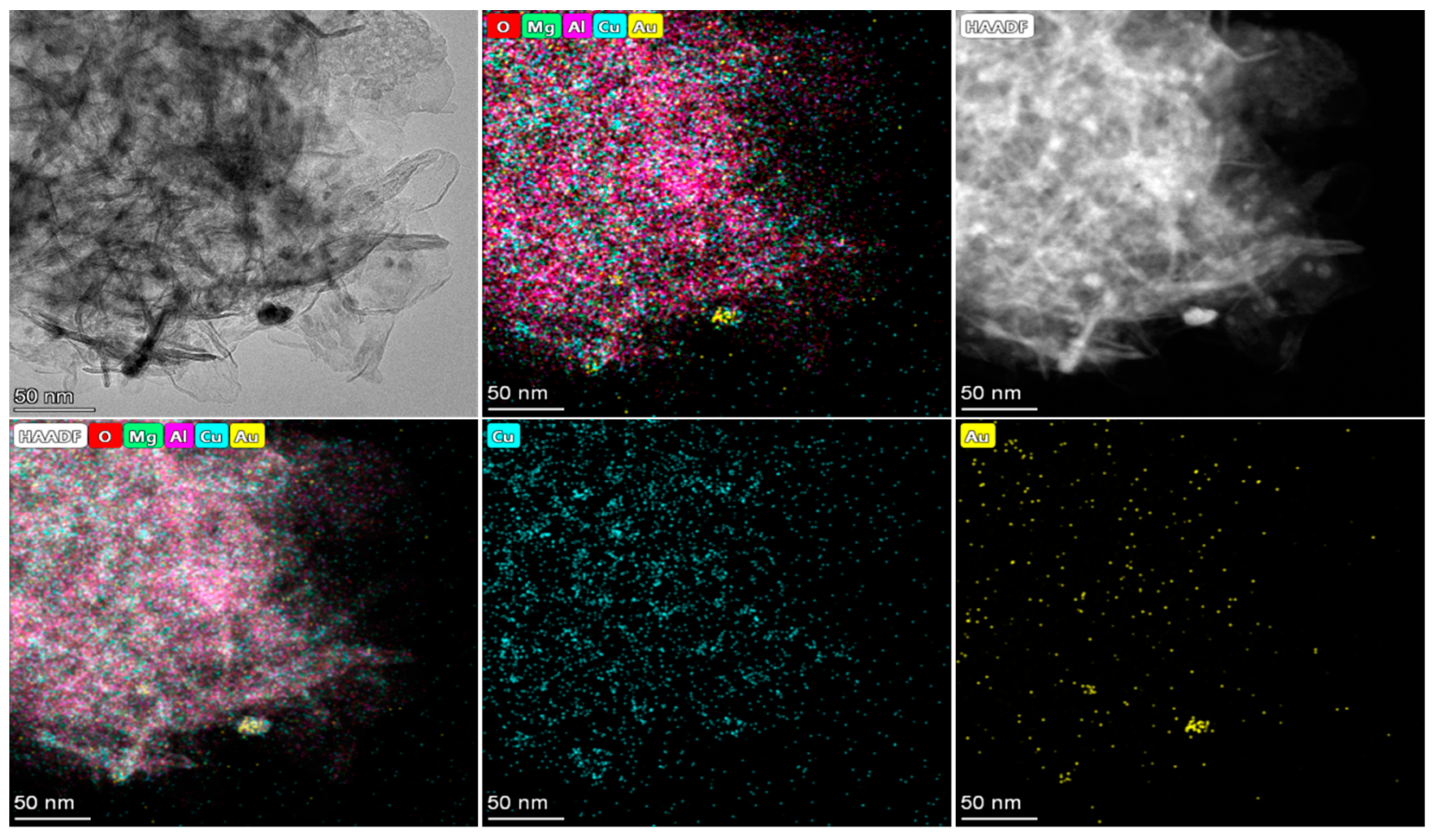 Catalysts 14 00315 g013