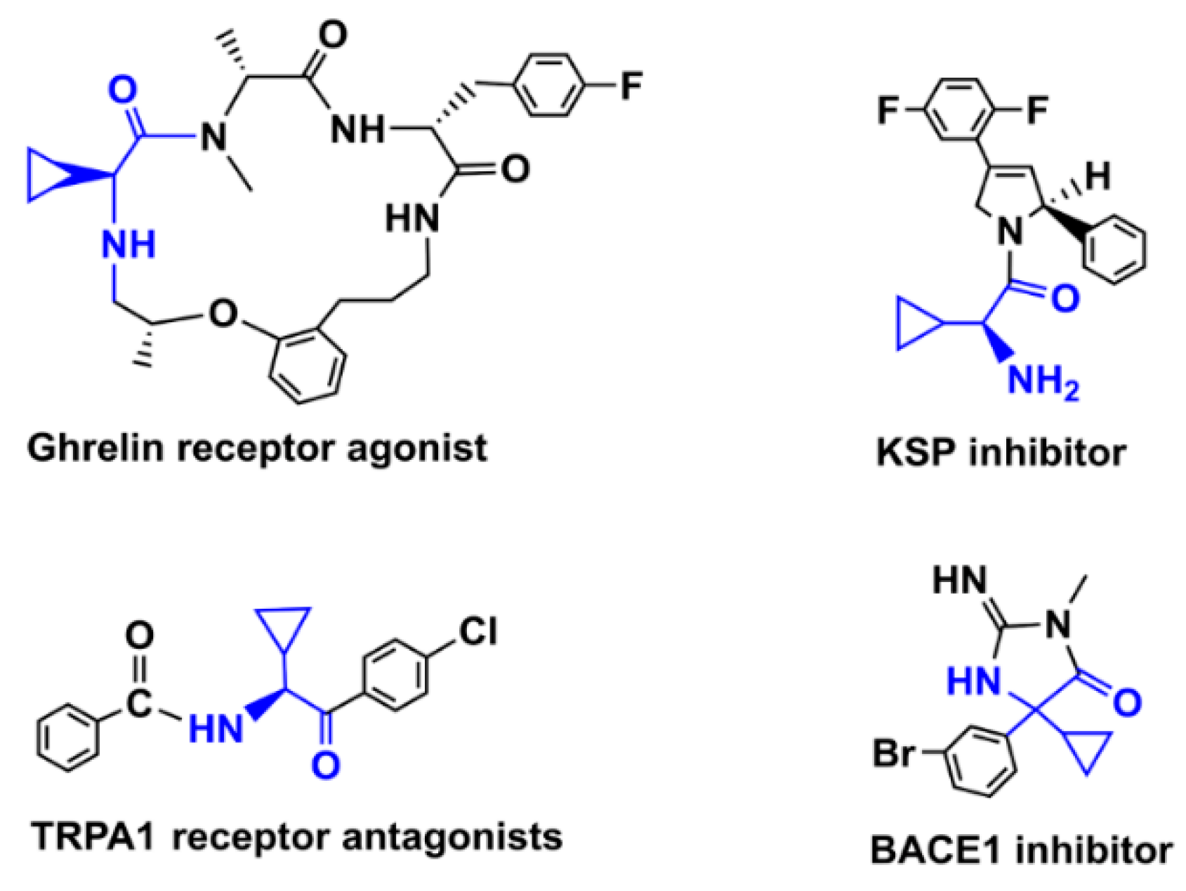 Catalysts 14 00321 g001