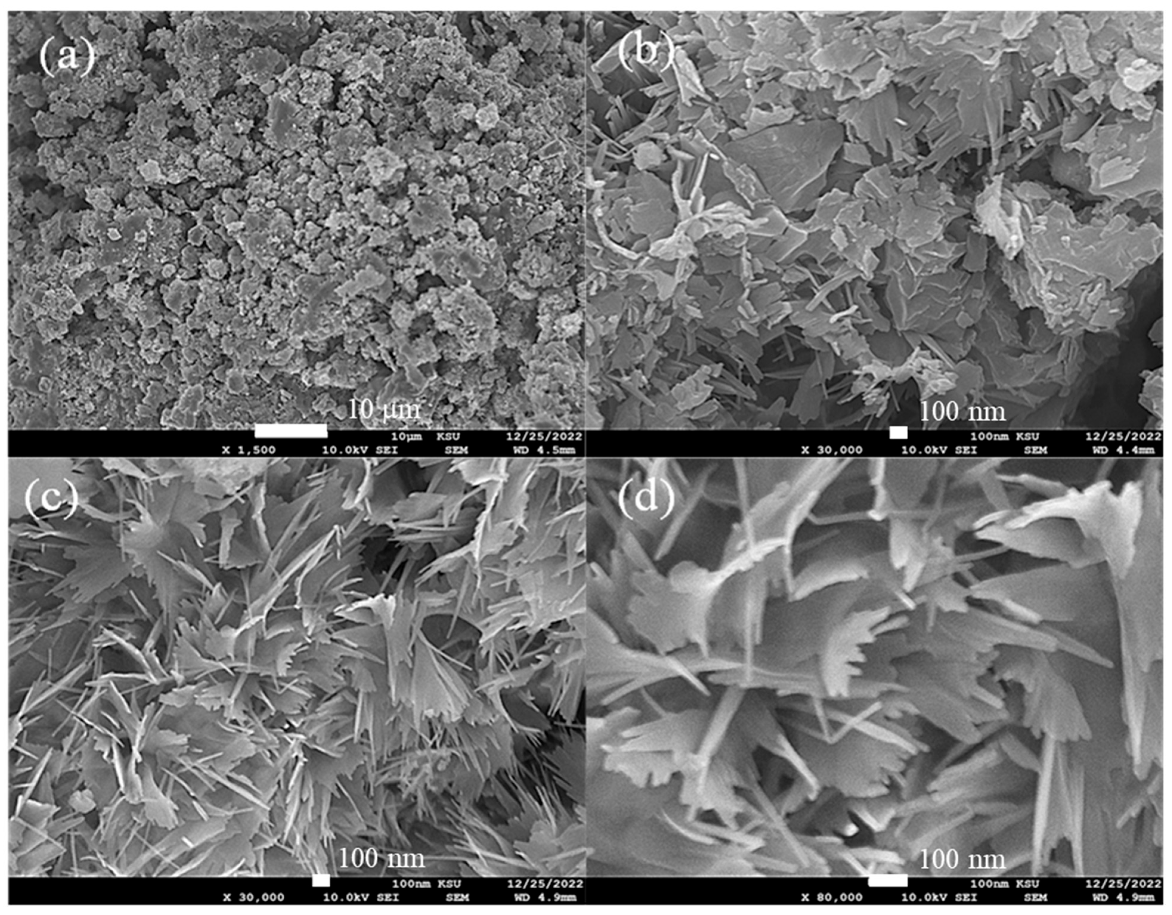 Catalysts 14 00325 g002