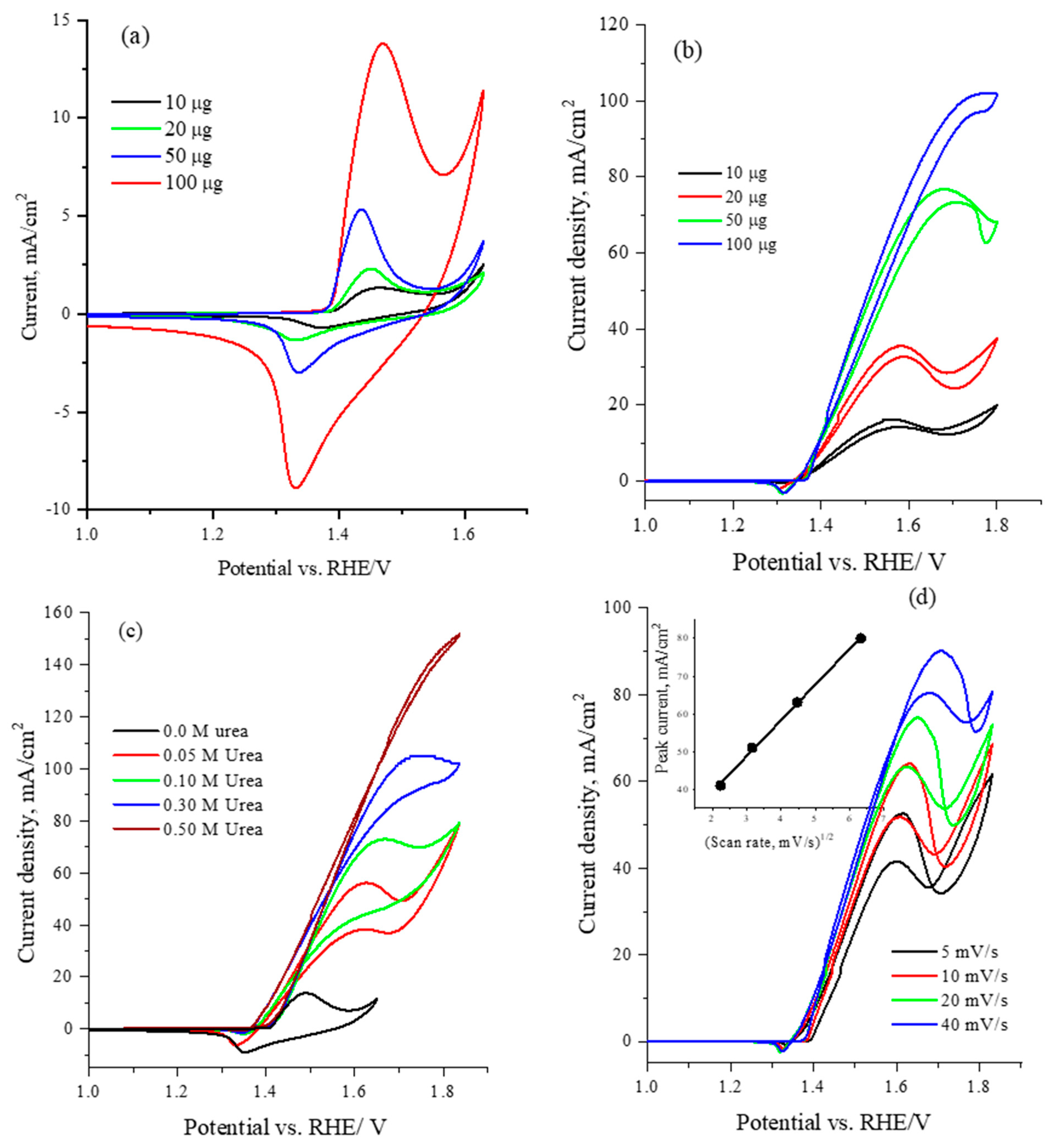 Catalysts 14 00325 g005