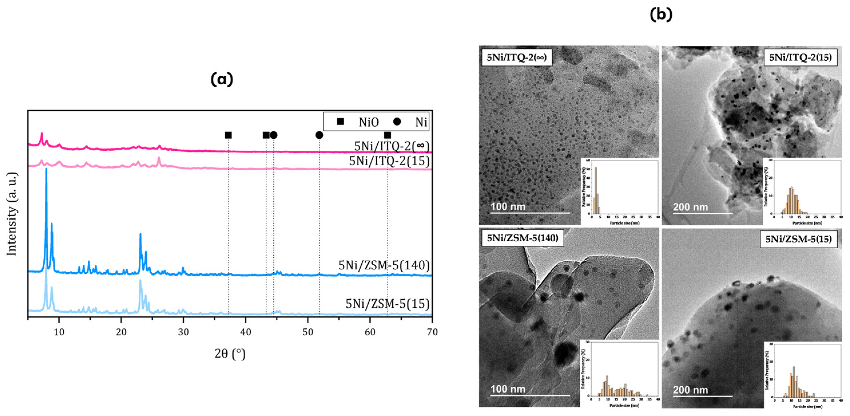 Catalysts 14 00328 g006