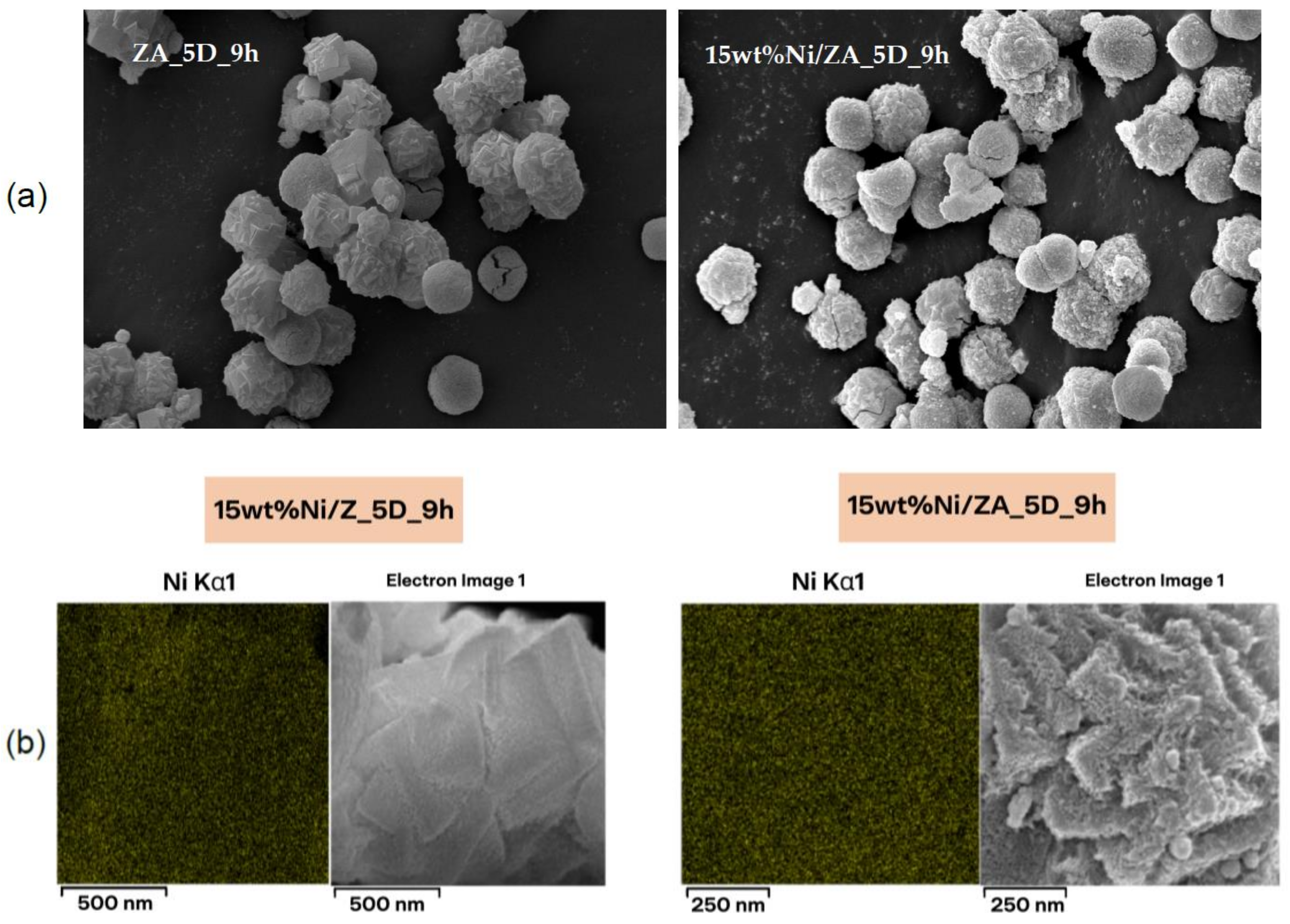 Catalysts 14 00328 g012