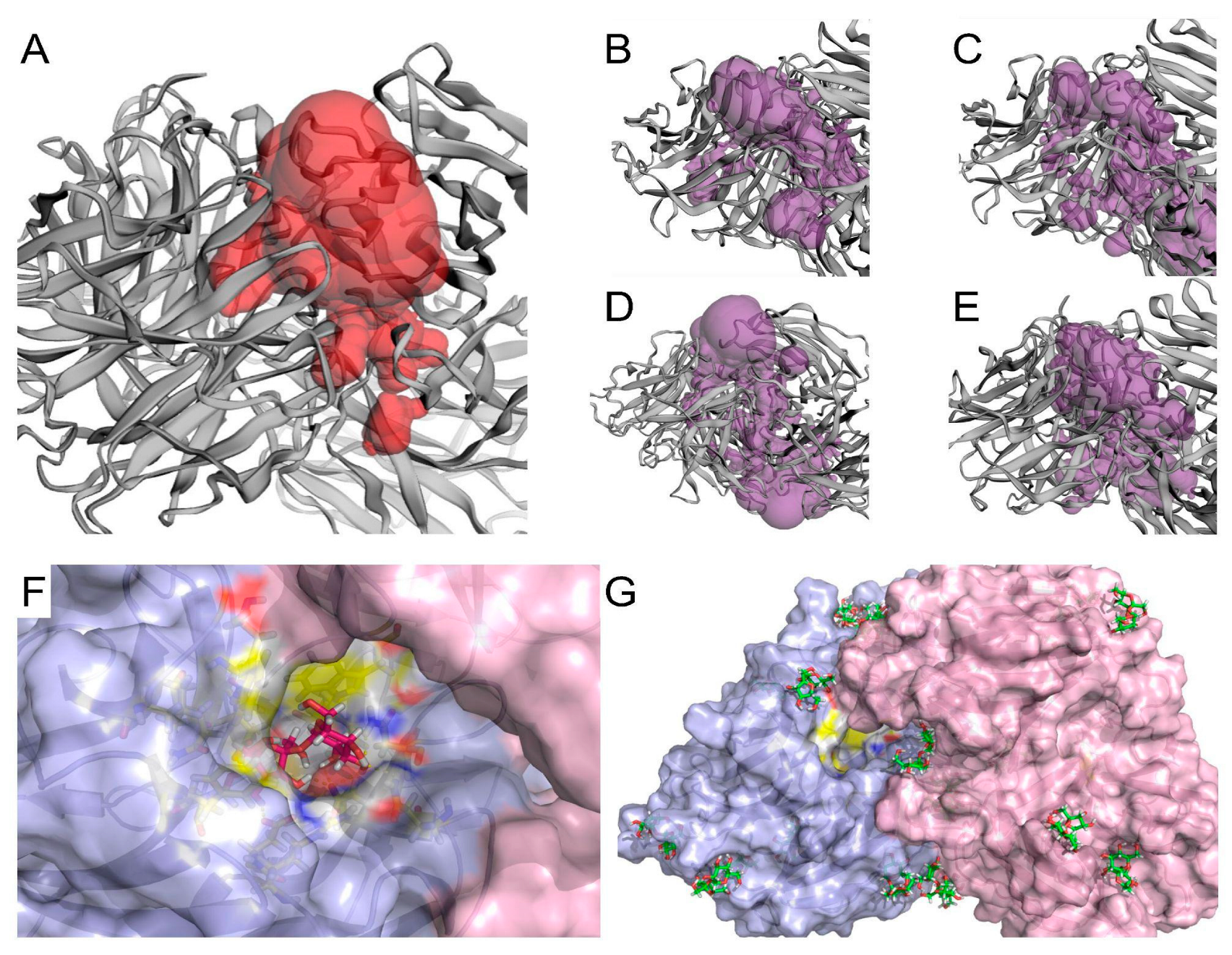 Catalysts 14 00330 g010 Catalysts 14 00330 g010