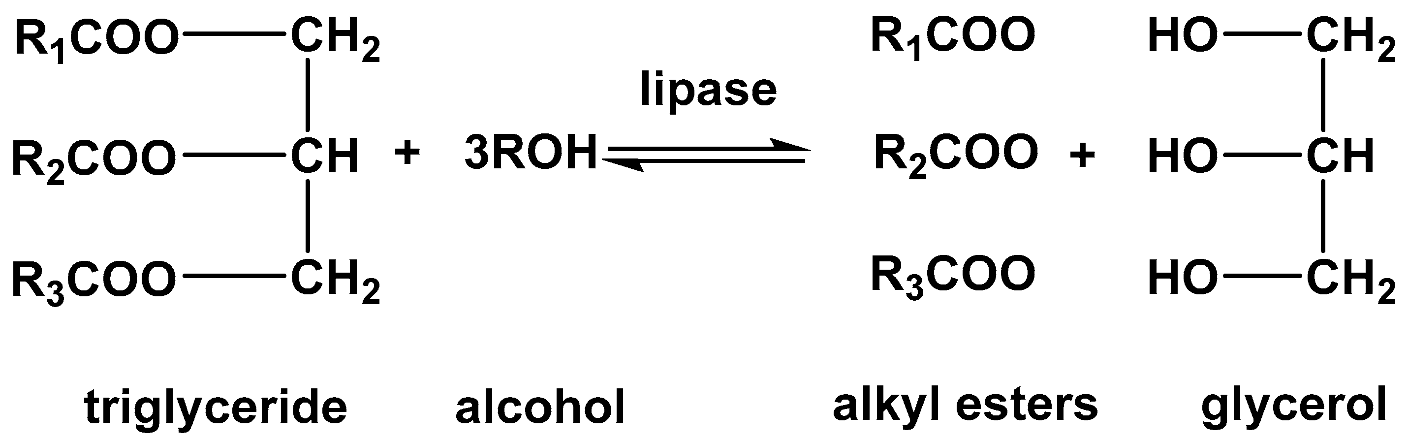 Catalysts 14 00336 g001