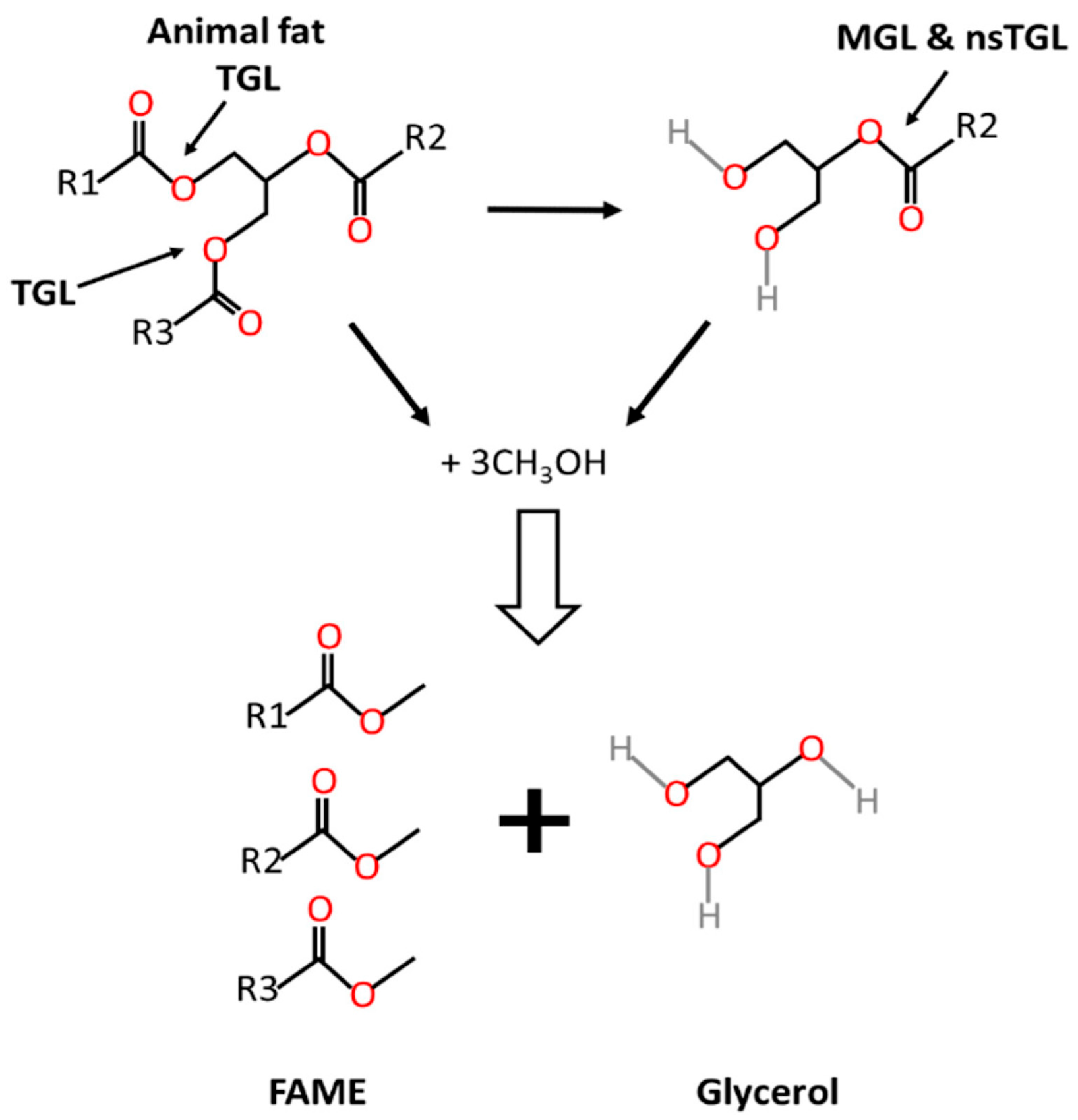 Catalysts 14 00336 g003