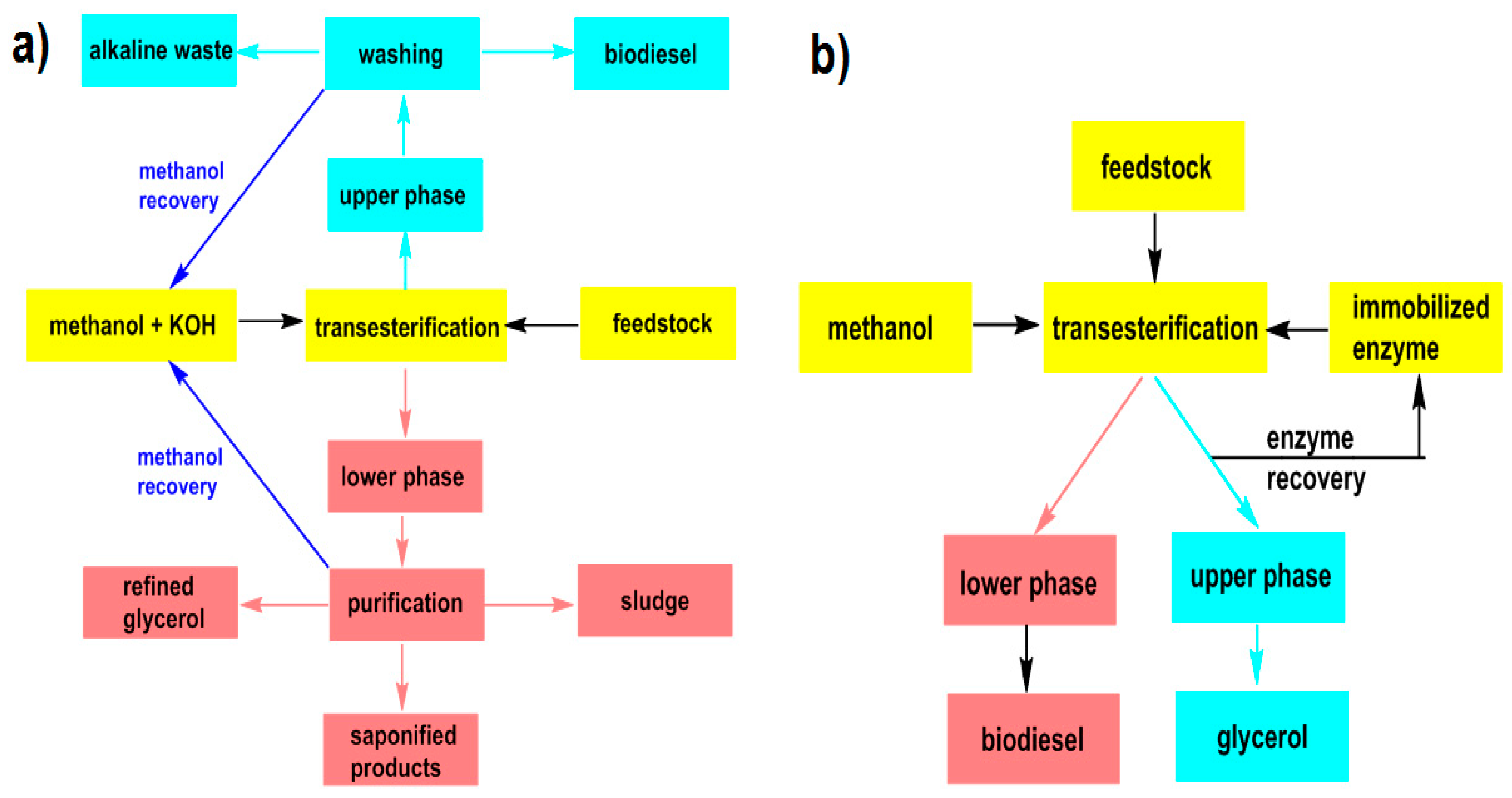 Catalysts 14 00336 g004