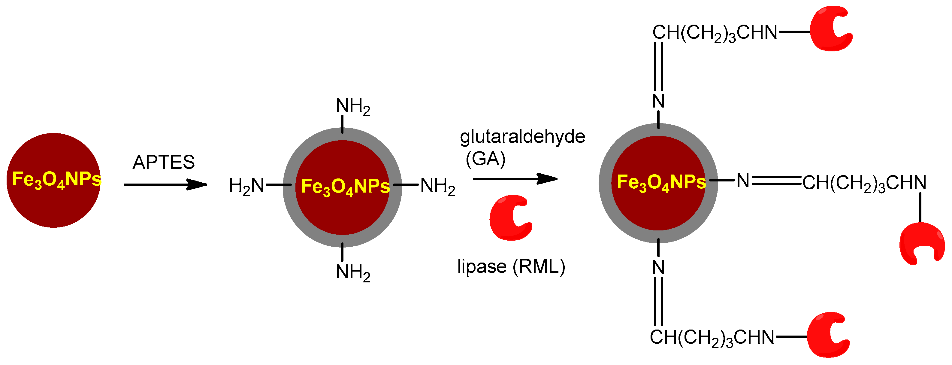 Catalysts 14 00336 g007
