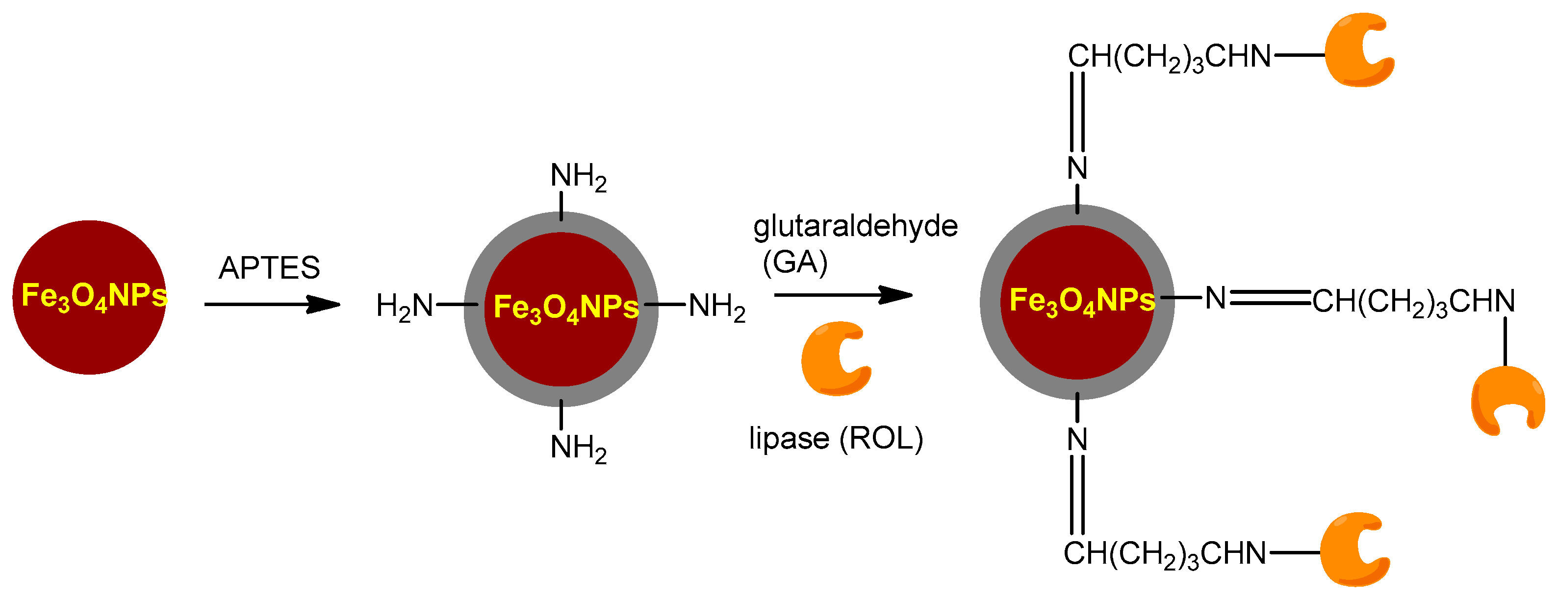 Catalysts 14 00336 g009