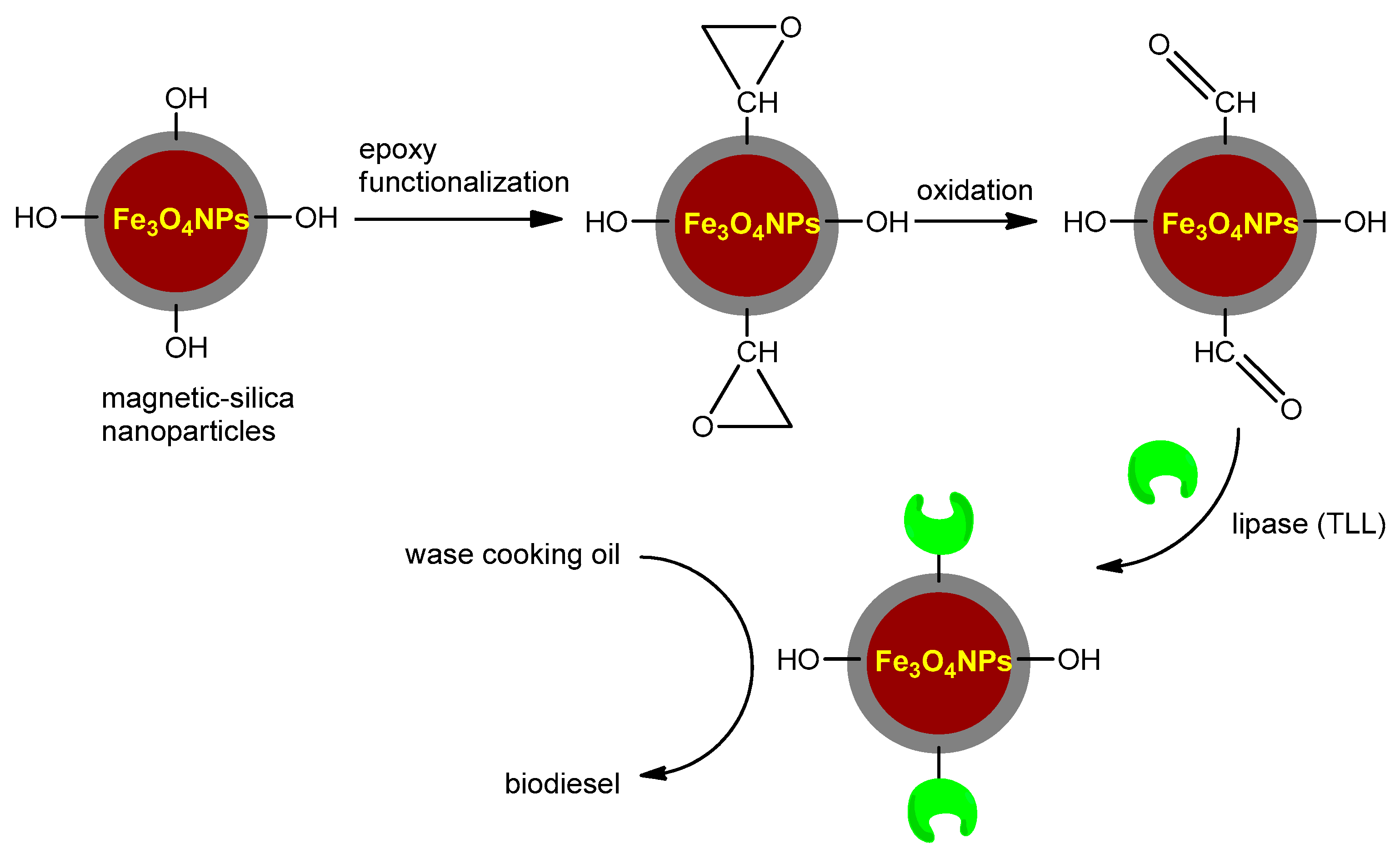 Catalysts 14 00336 g010