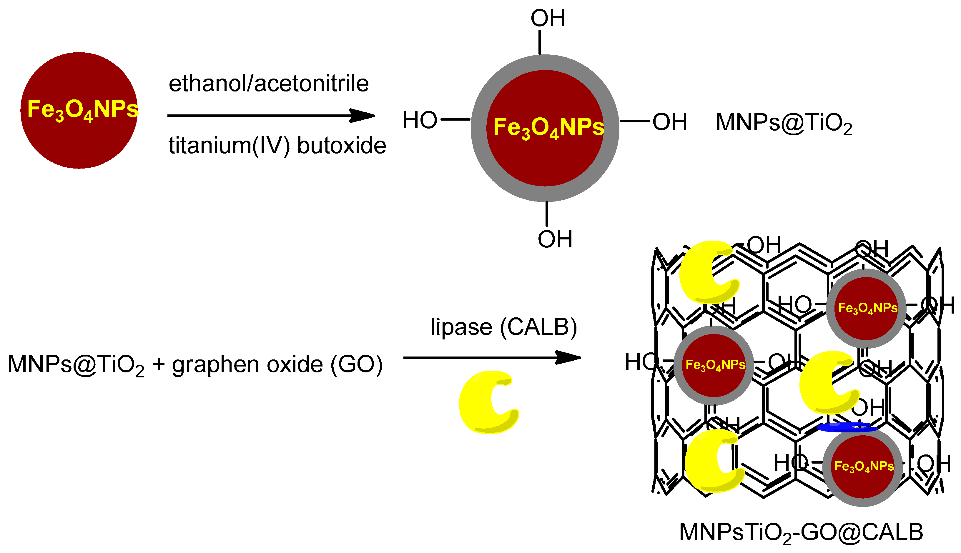 Catalysts 14 00336 g011