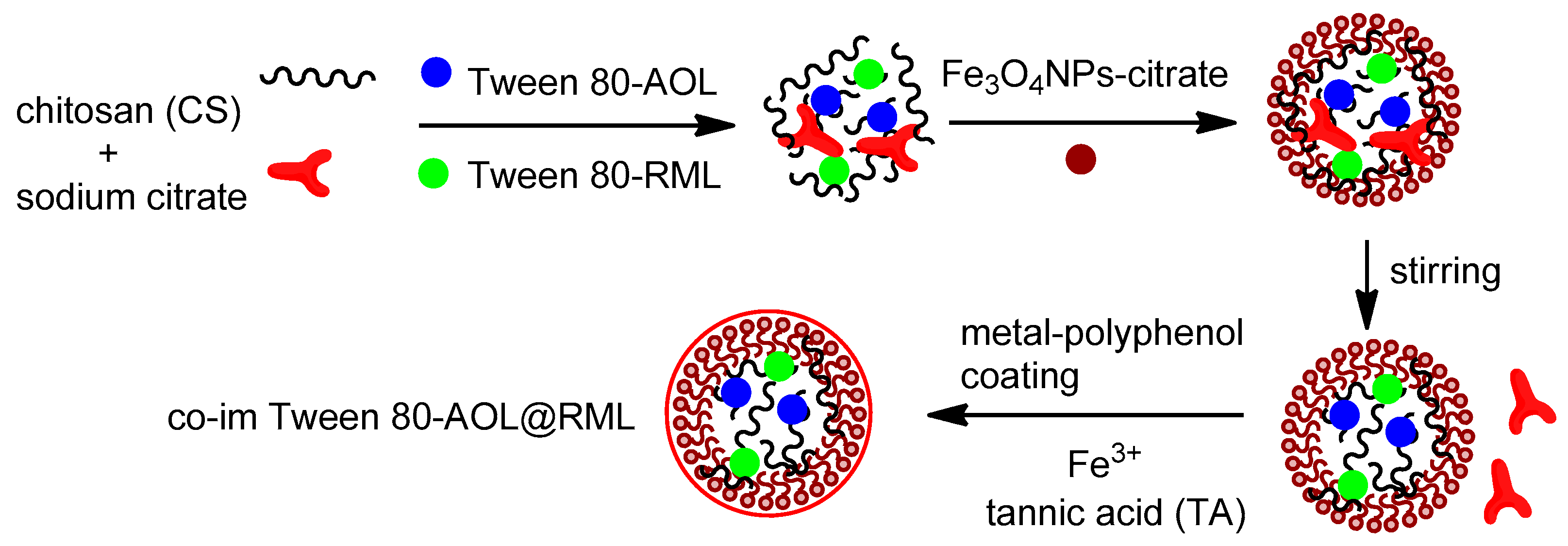 Catalysts 14 00336 g013