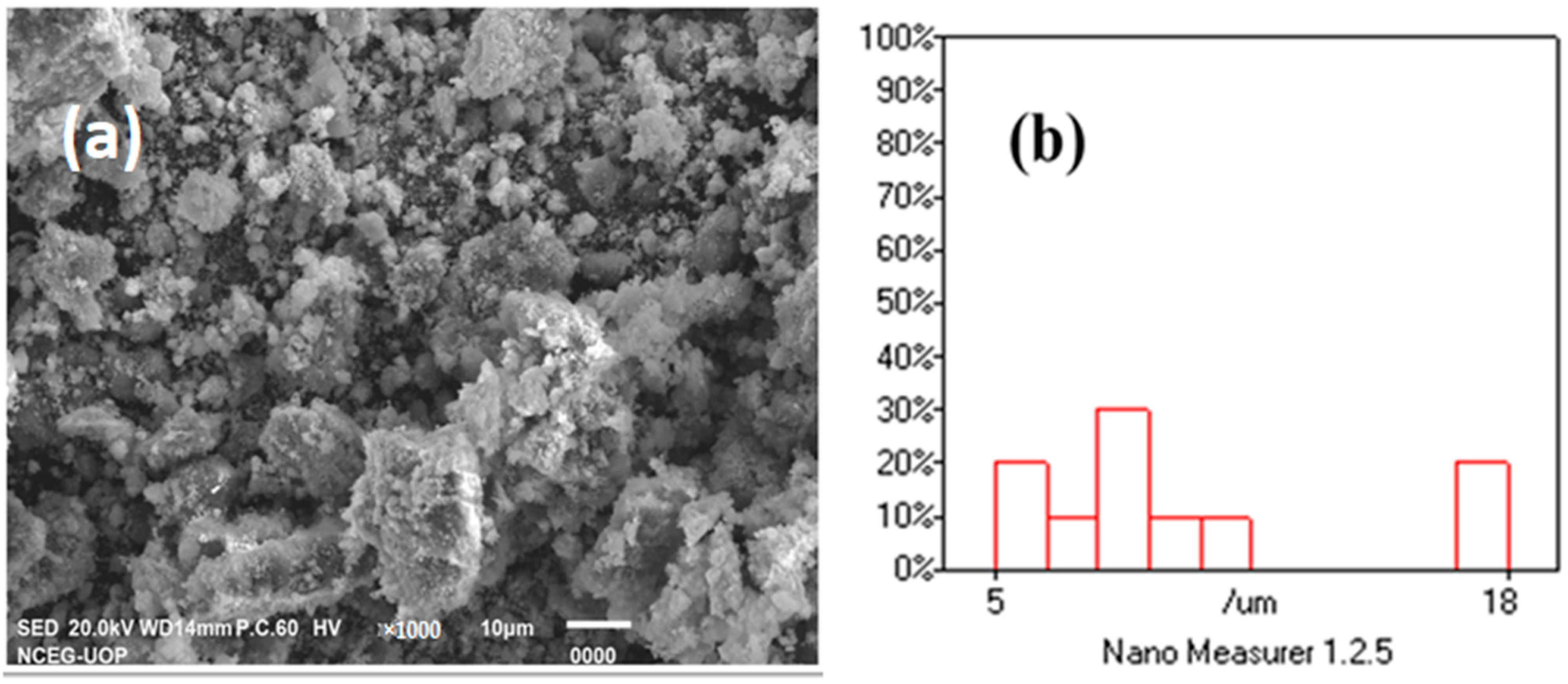 Catalysts 14 00337 g002