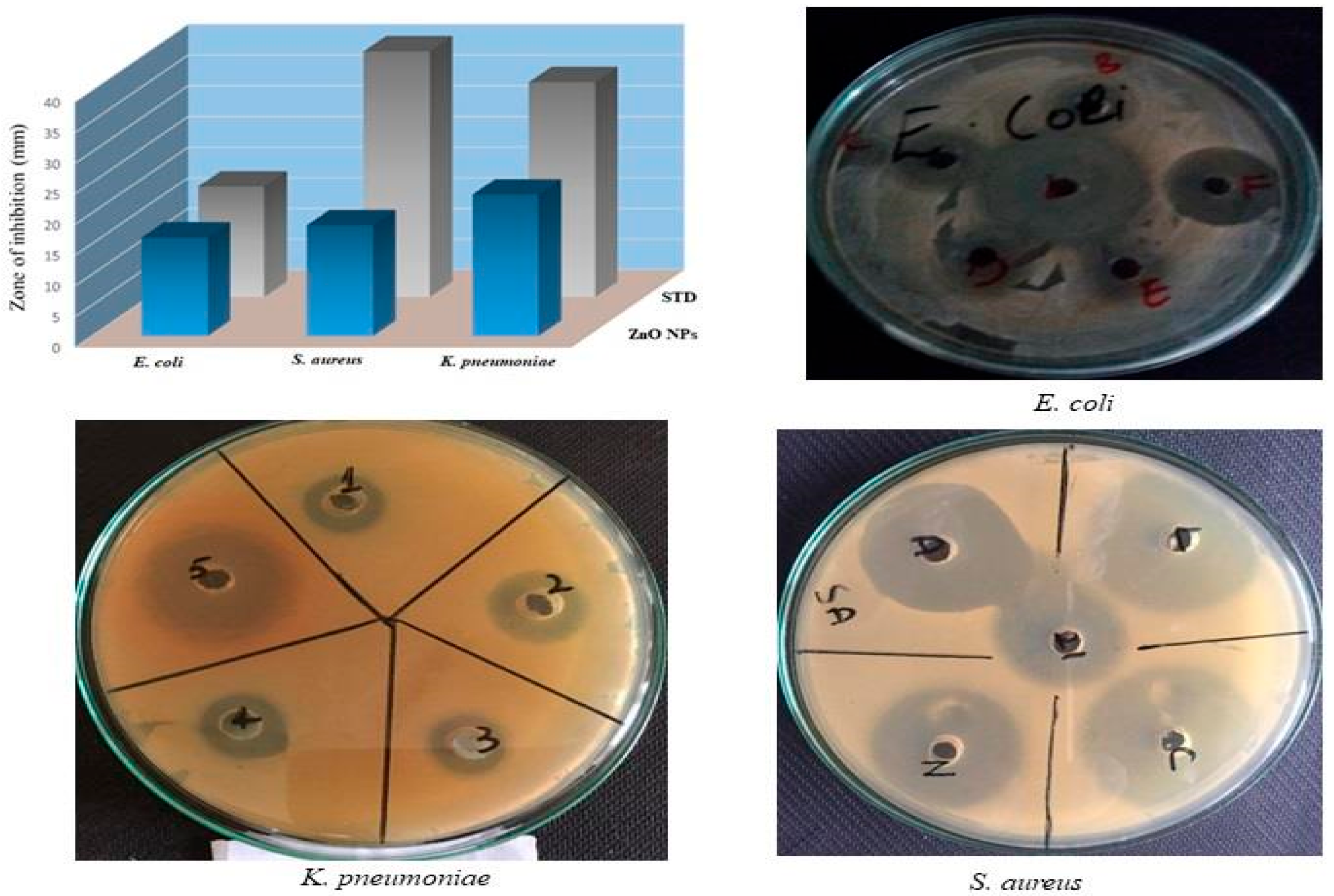 Catalysts 14 00337 g003