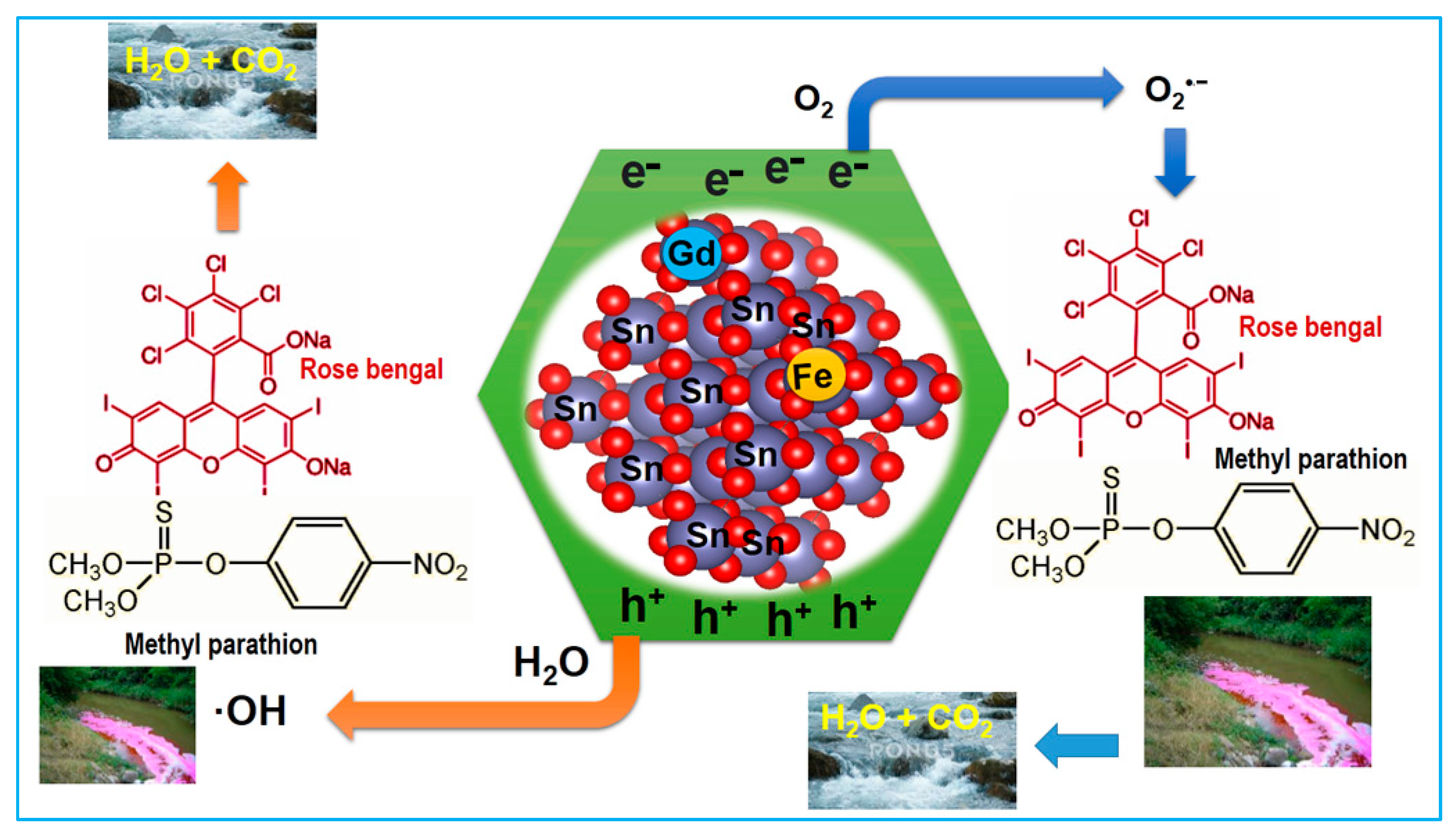 Catalysts 14 00347 g012 Catalysts 14 00347 g012