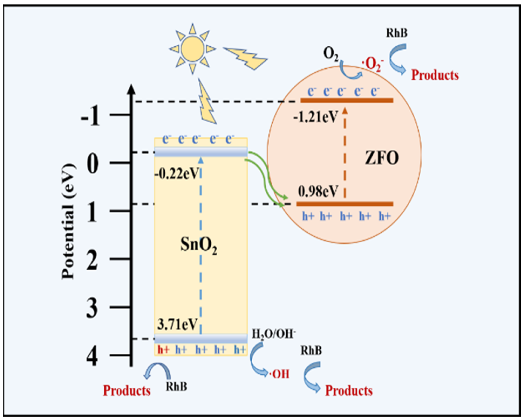 Catalysts 14 00350 g013