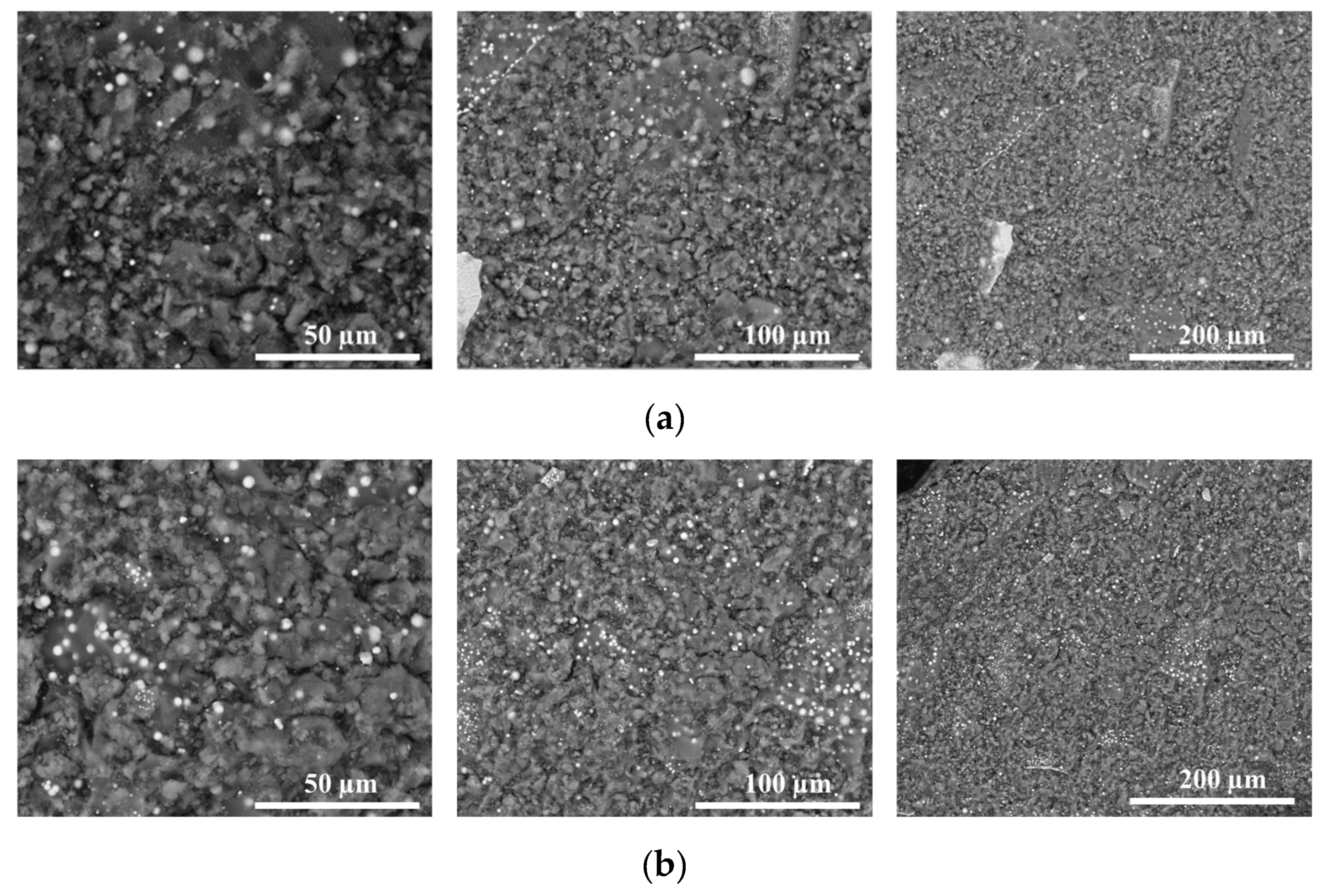 Catalysts 14 00351 g001
