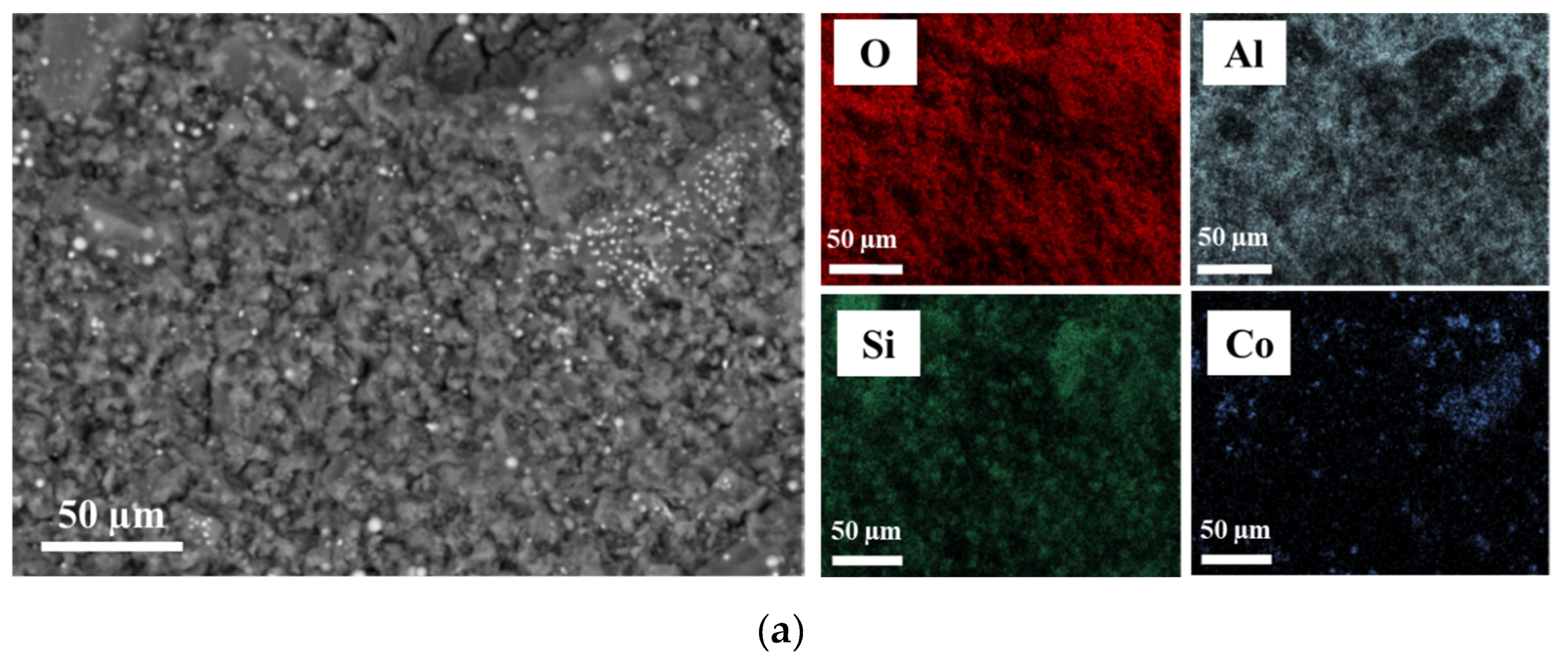 Catalysts 14 00351 g002a