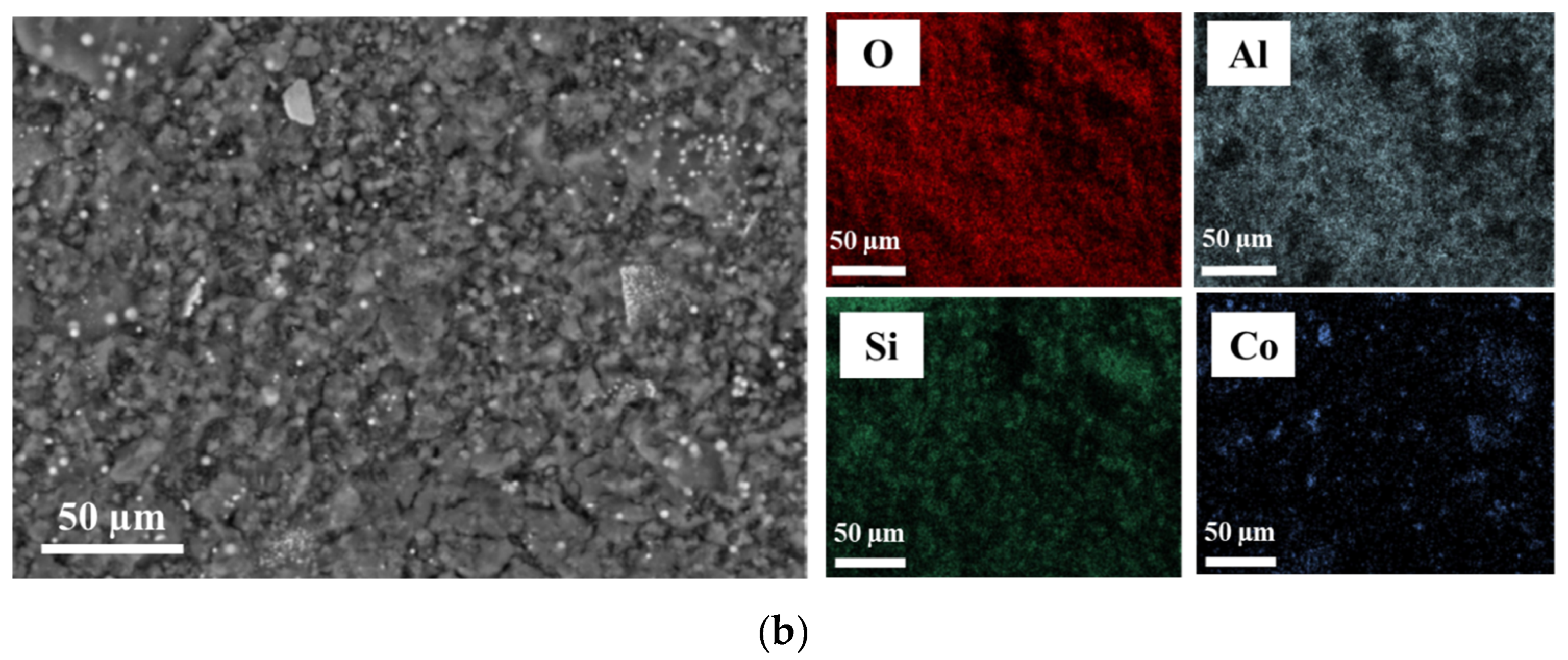 Catalysts 14 00351 g002b