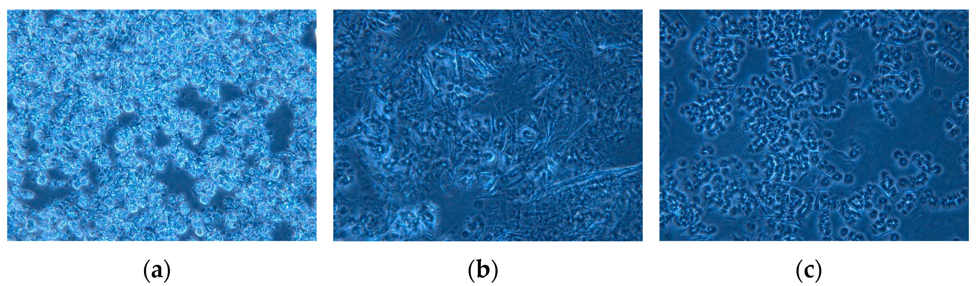 Catalysts 14 00353 g009