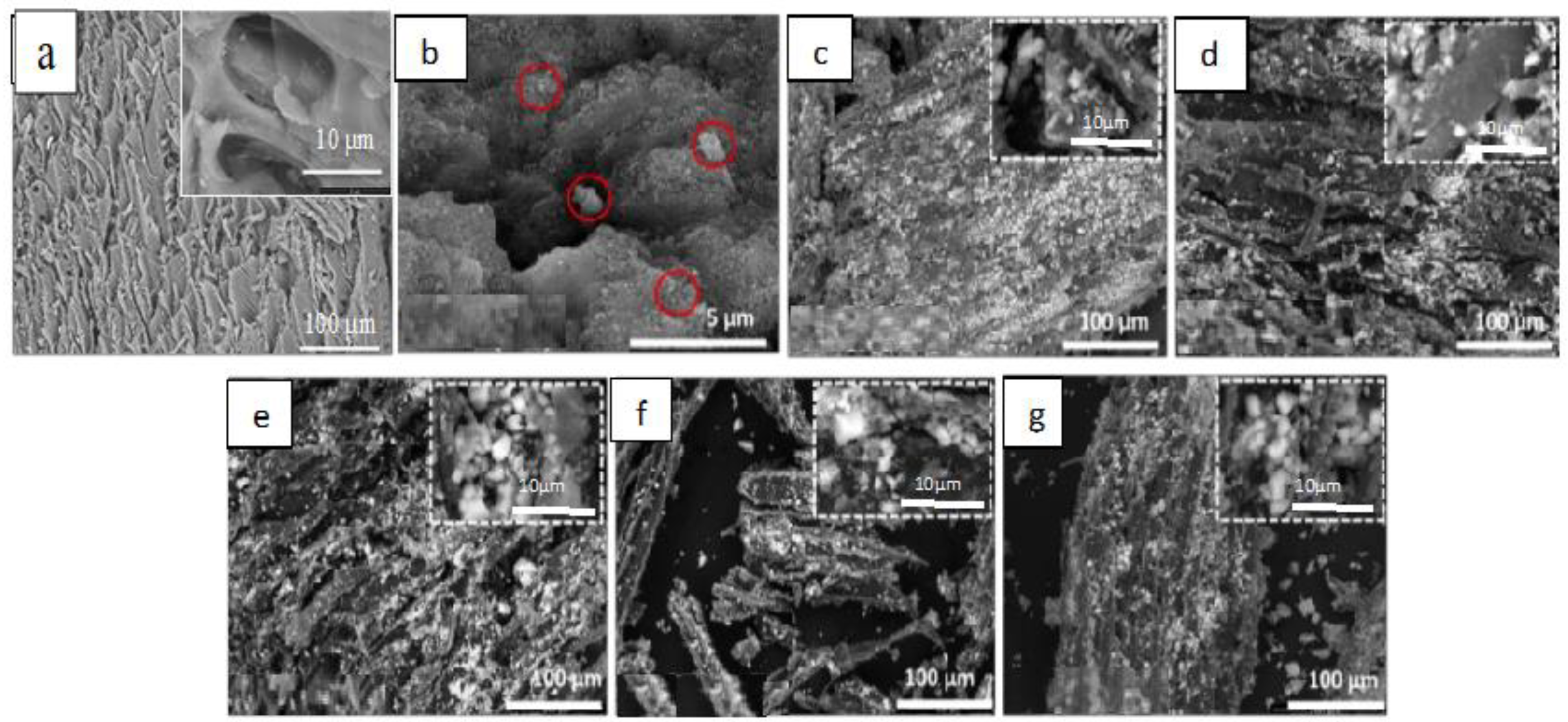 Catalysts 14 00354 g002 Catalysts 14 00354 g002