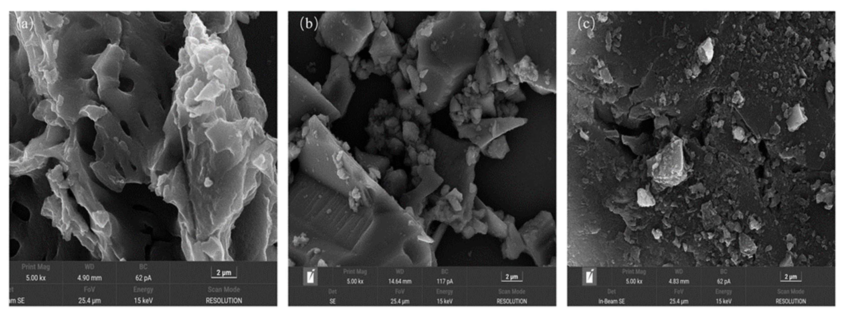 Catalysts 14 00357 g001