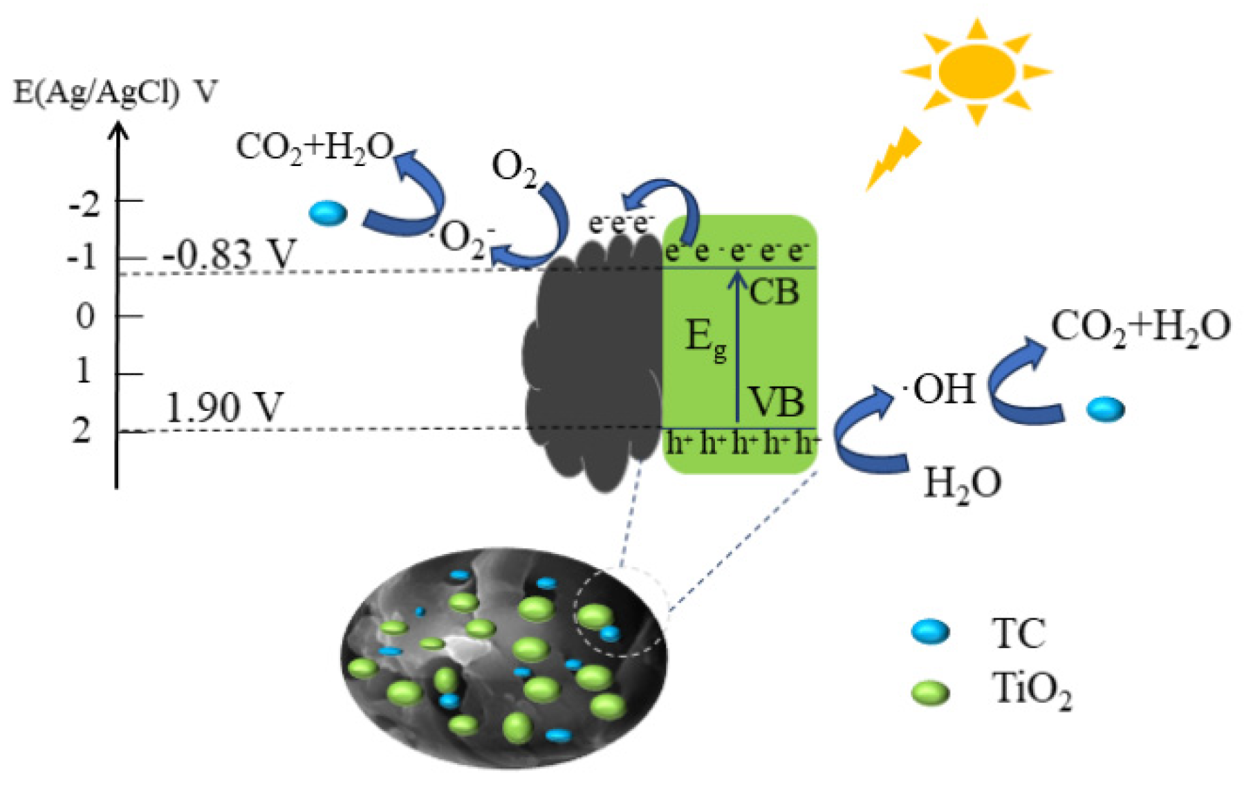 Catalysts 14 00357 g010