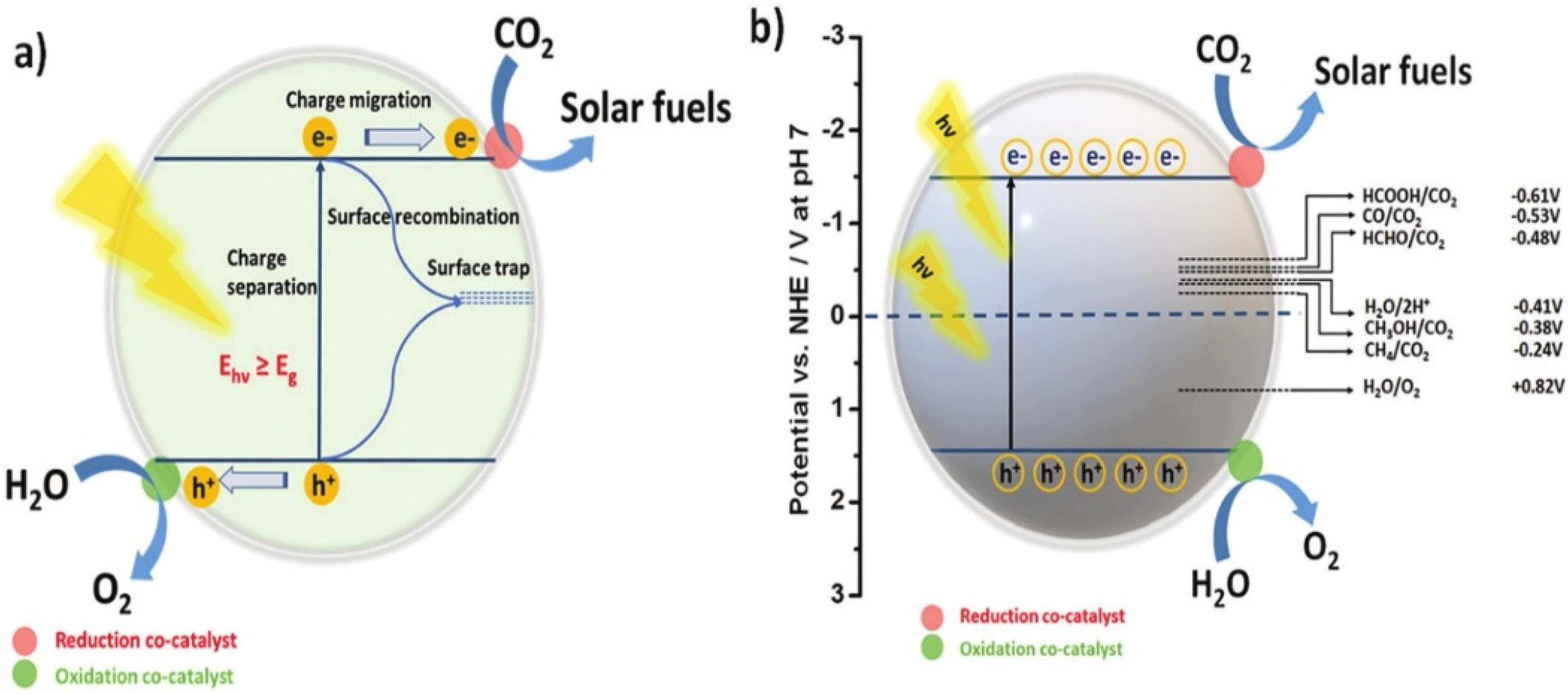 Catalysts 14 00366 g001
