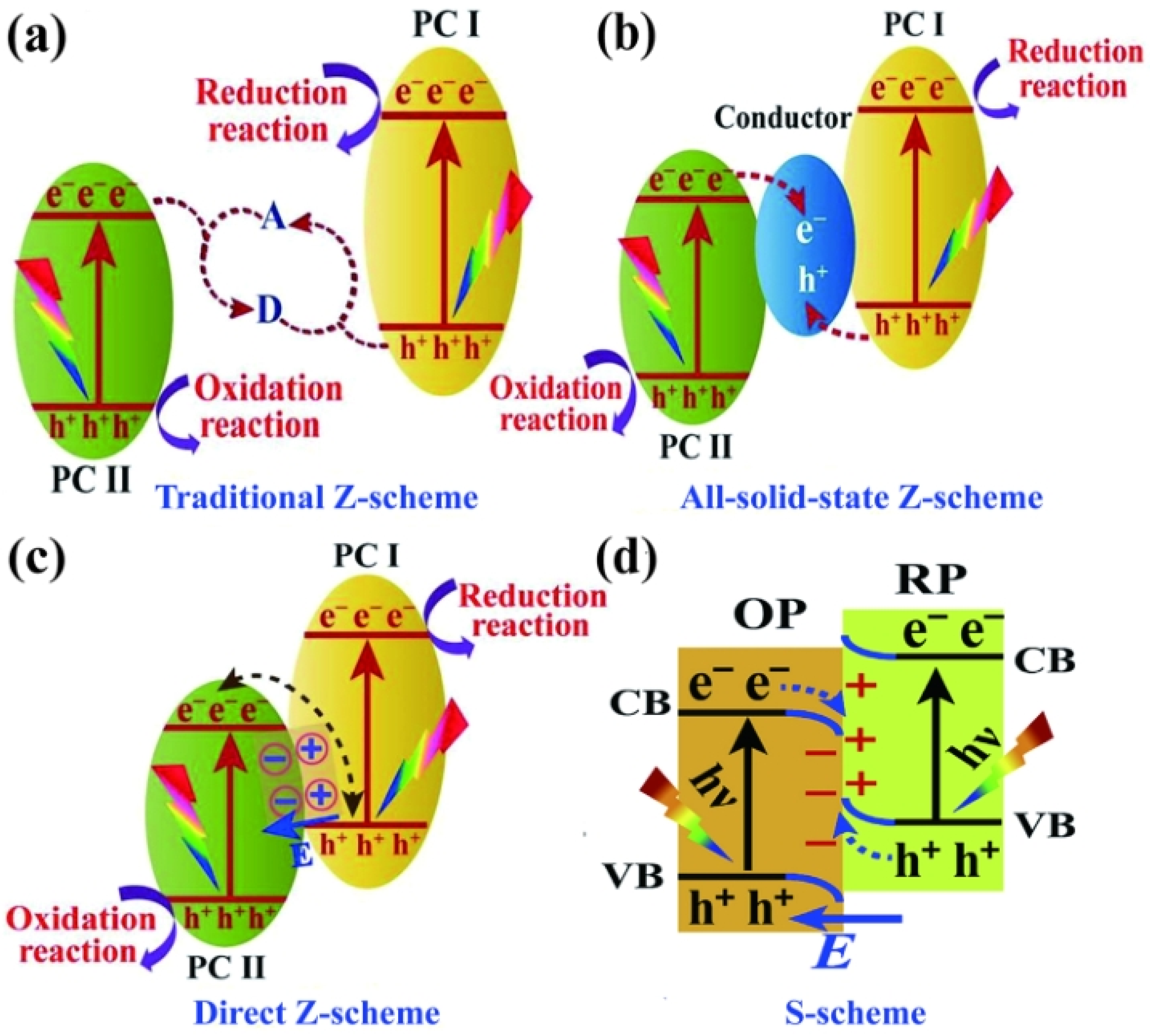 Catalysts 14 00366 g003