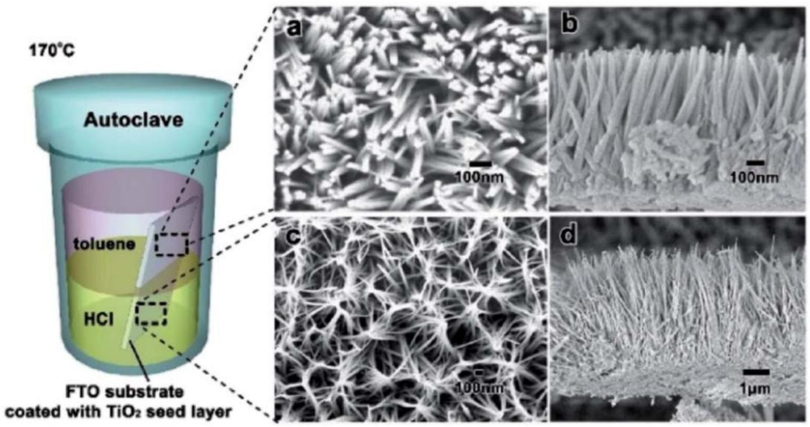 Catalysts 14 00366 g005