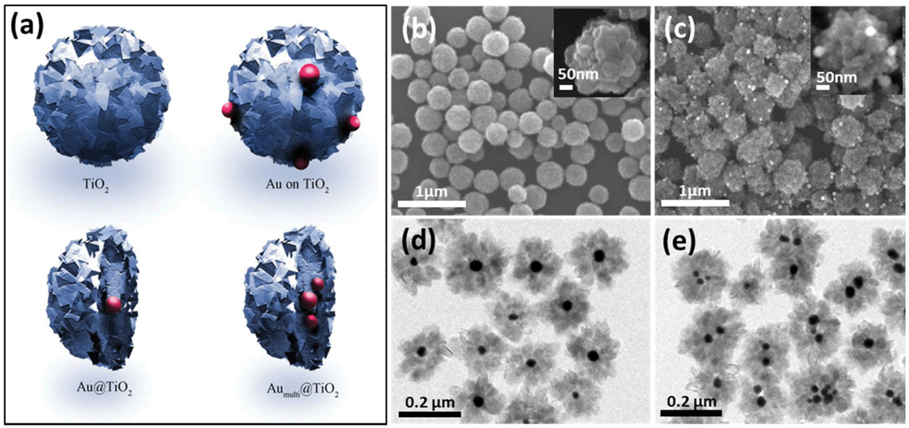 Catalysts 14 00366 g008