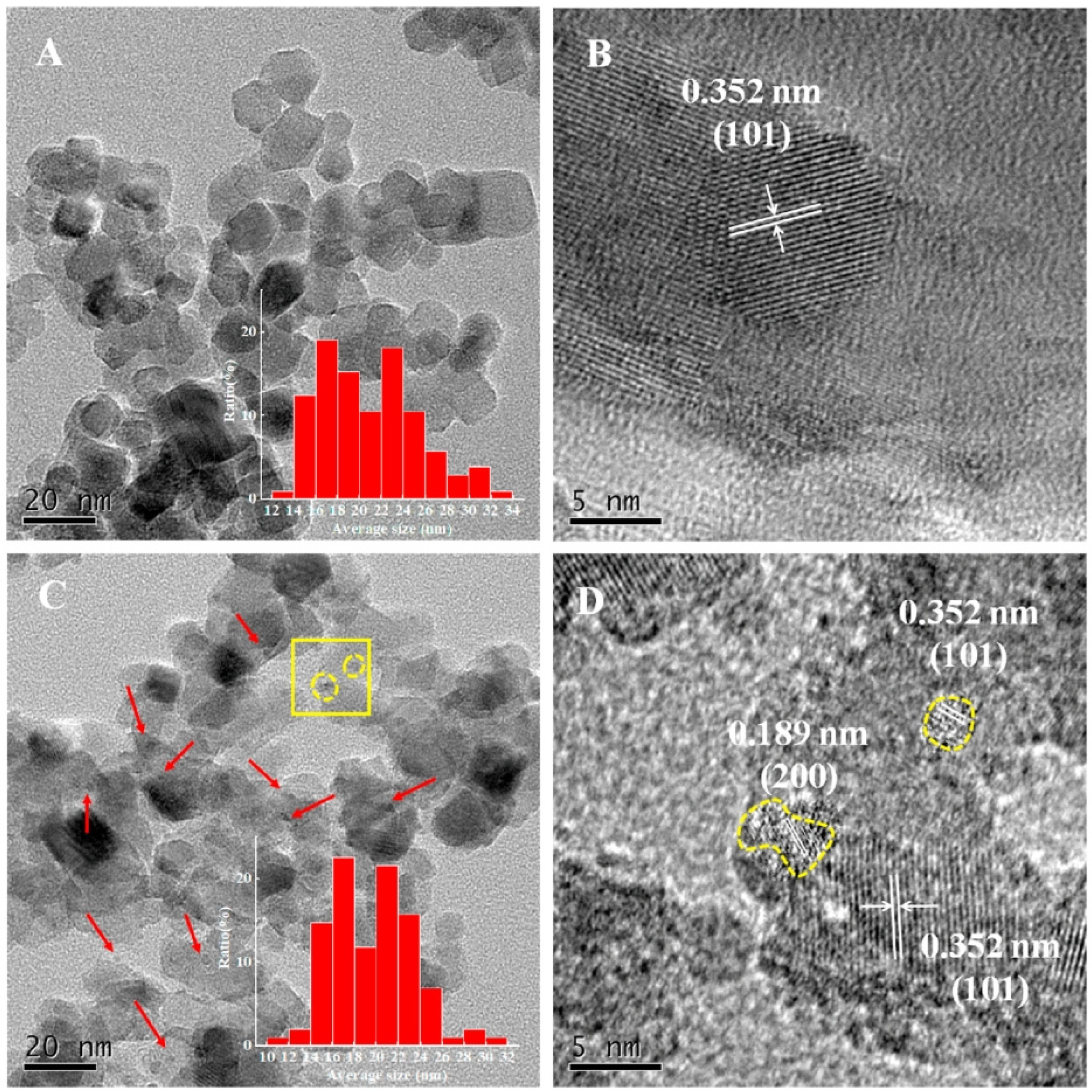Catalysts 14 00366 g010