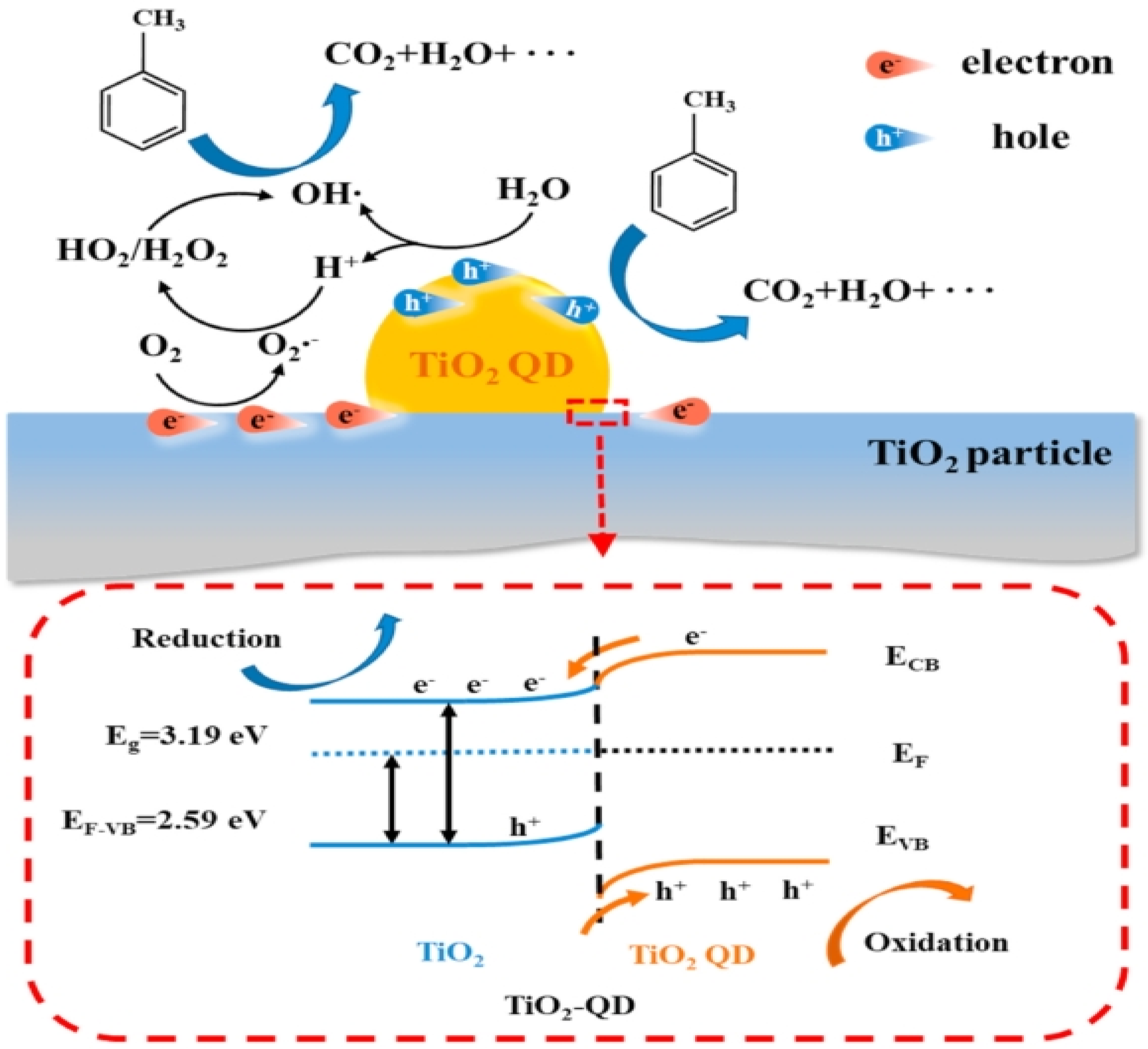 Catalysts 14 00366 g011
