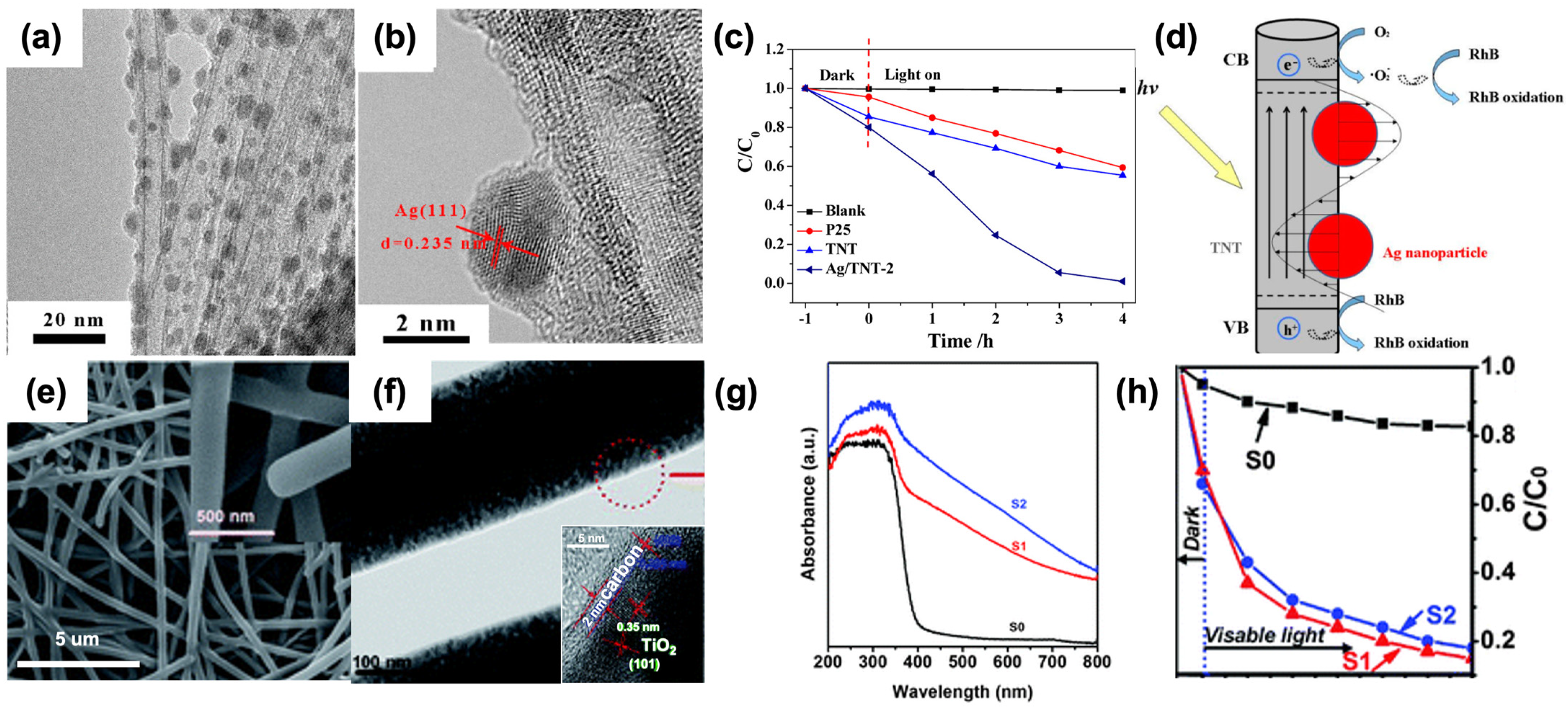 Catalysts 14 00366 g014
