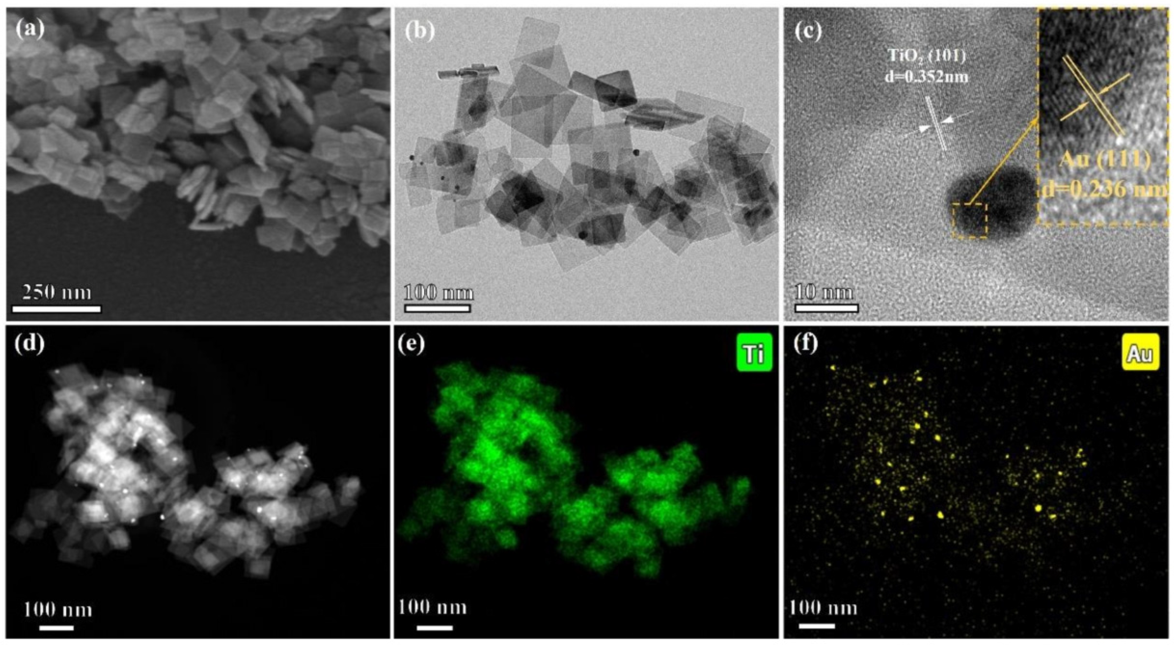 Catalysts 14 00366 g017
