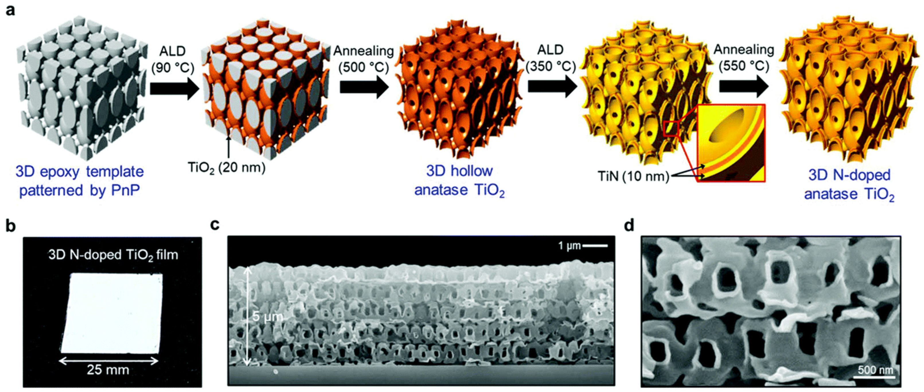 Catalysts 14 00366 g019