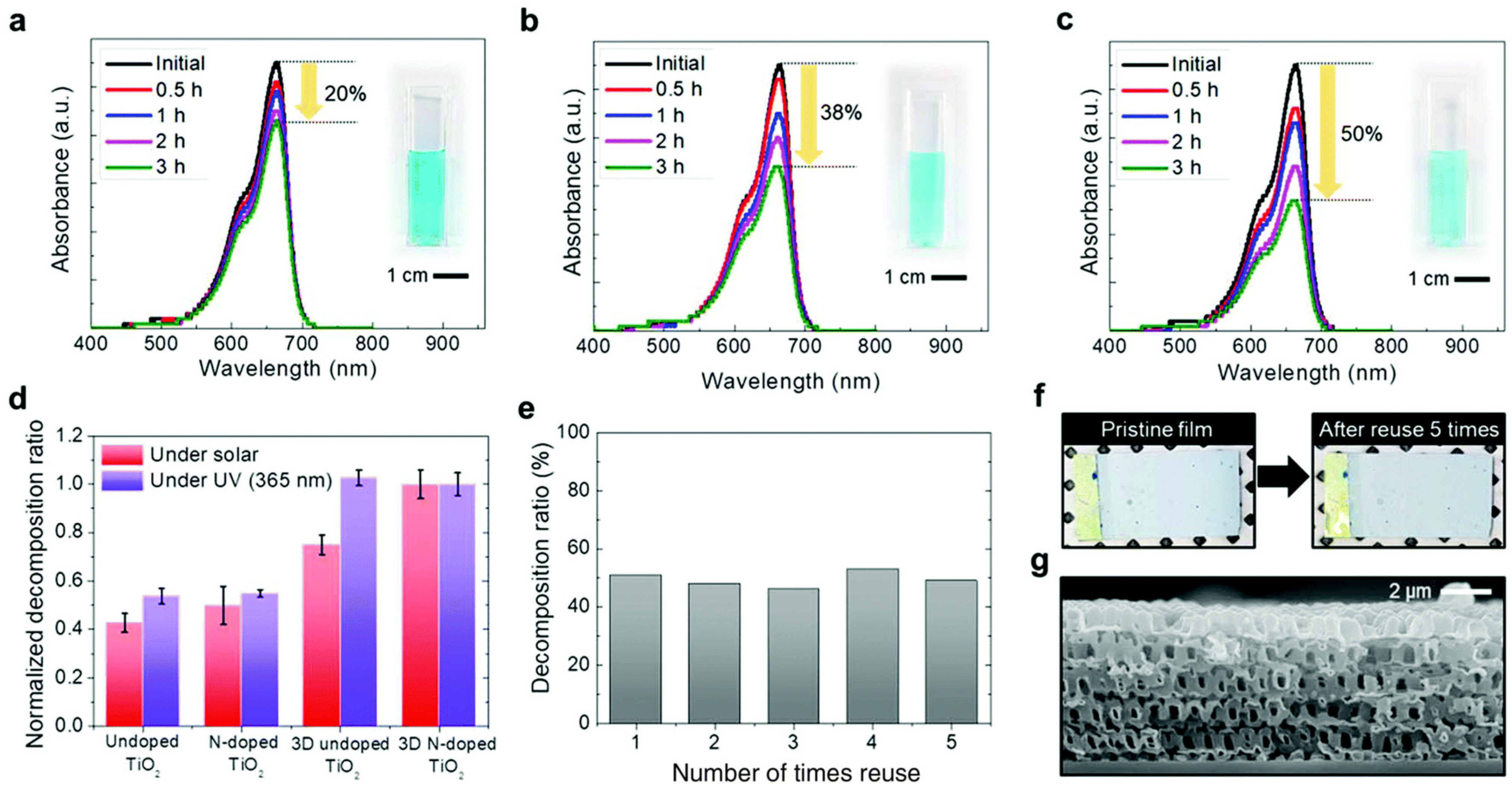 Catalysts 14 00366 g020