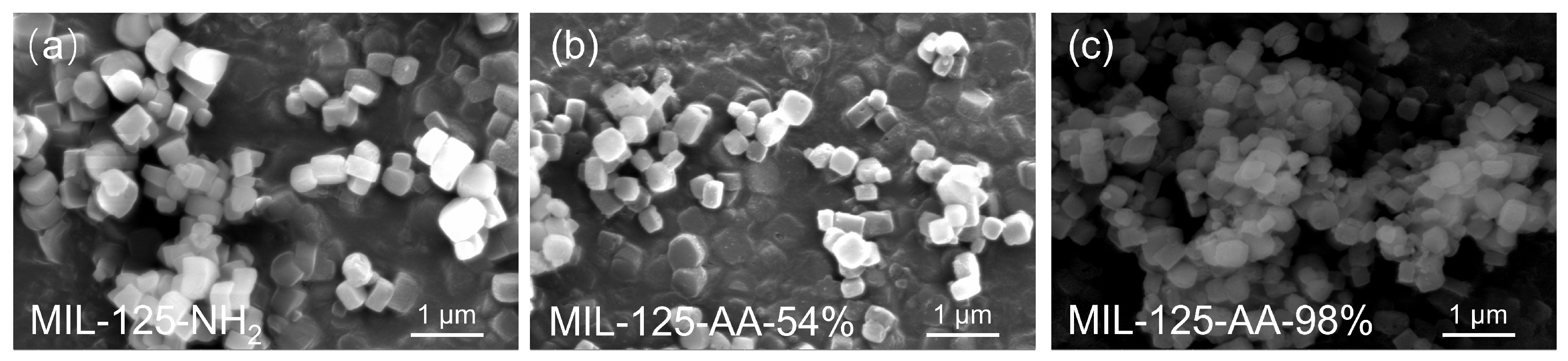 Catalysts 14 00367 g002