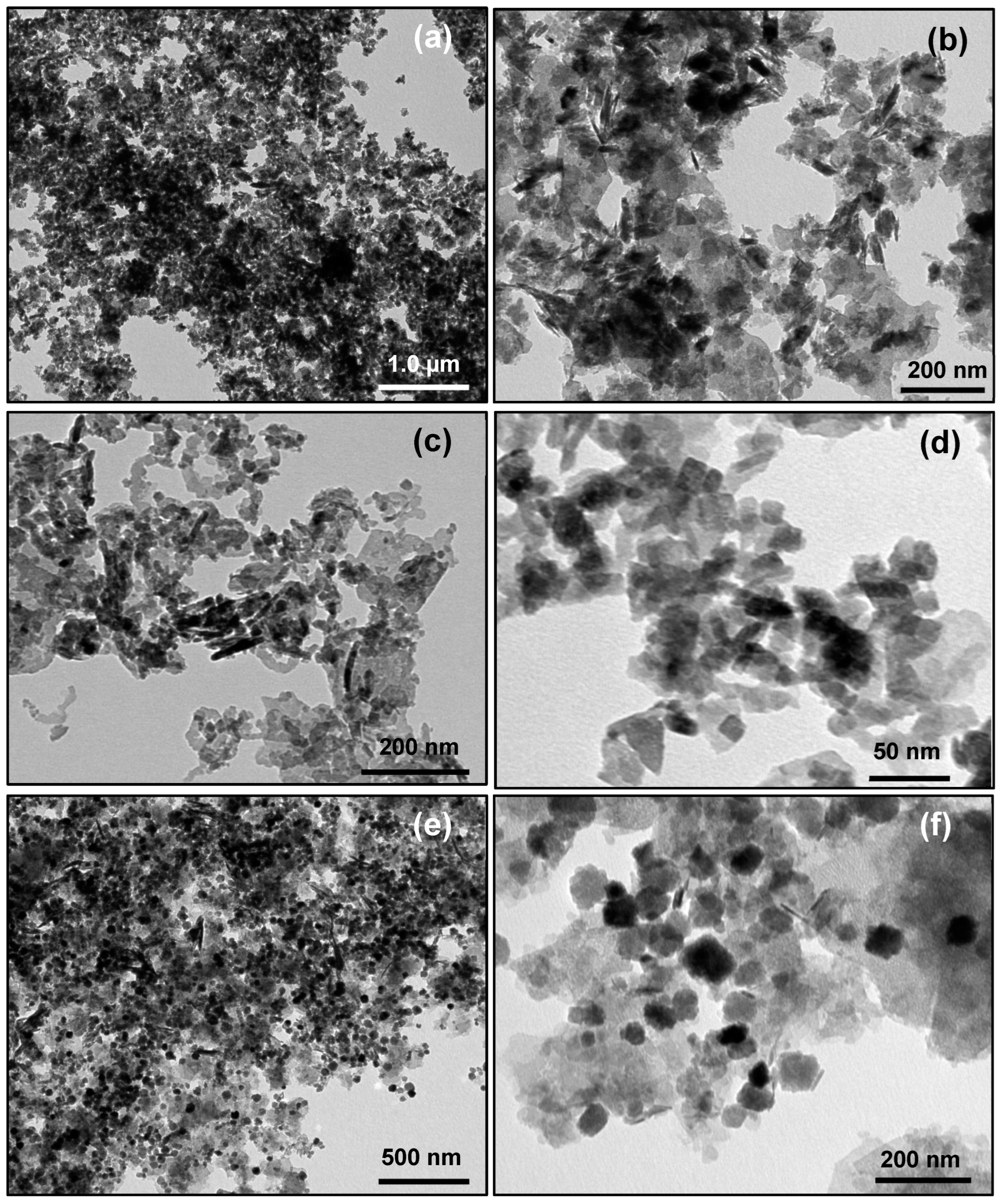 Catalysts 14 00369 g004
