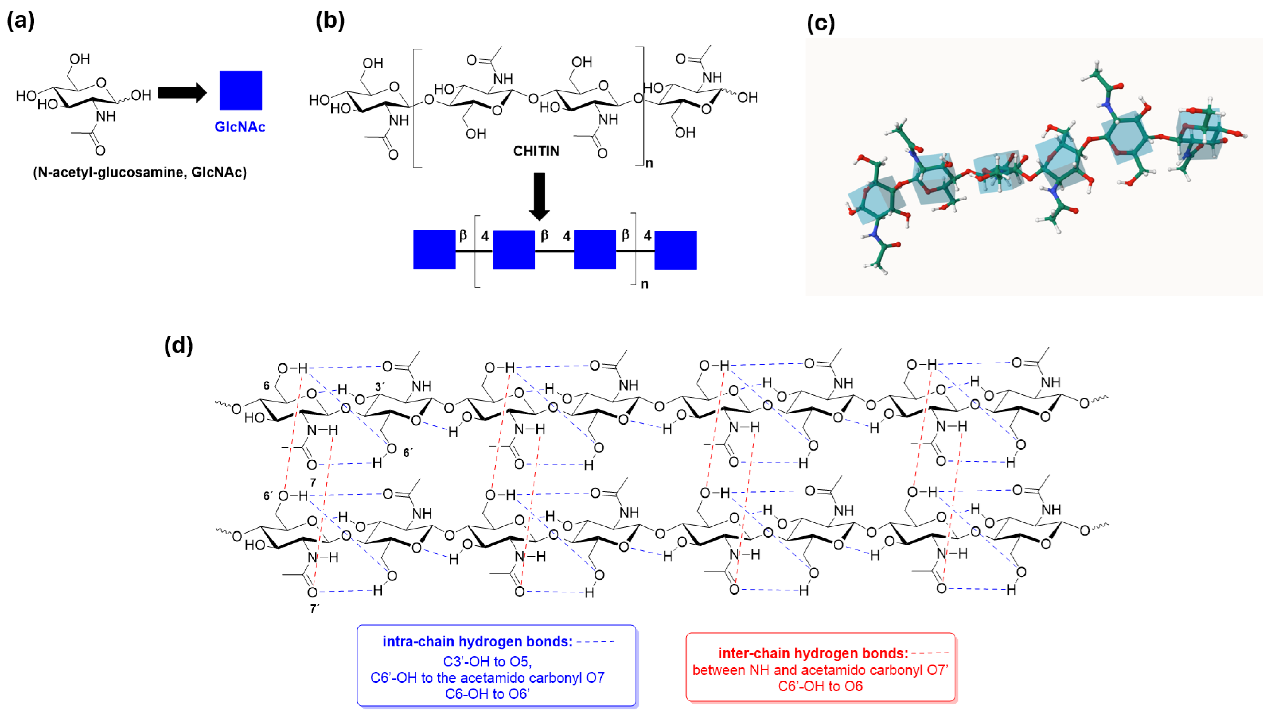Catalysts 14 00371 g001