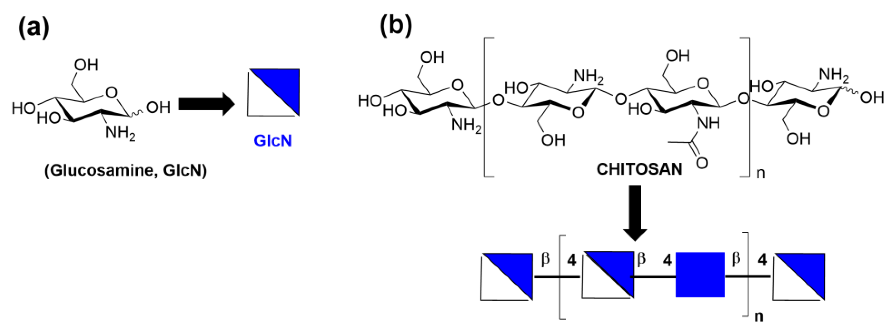 Catalysts 14 00371 g002