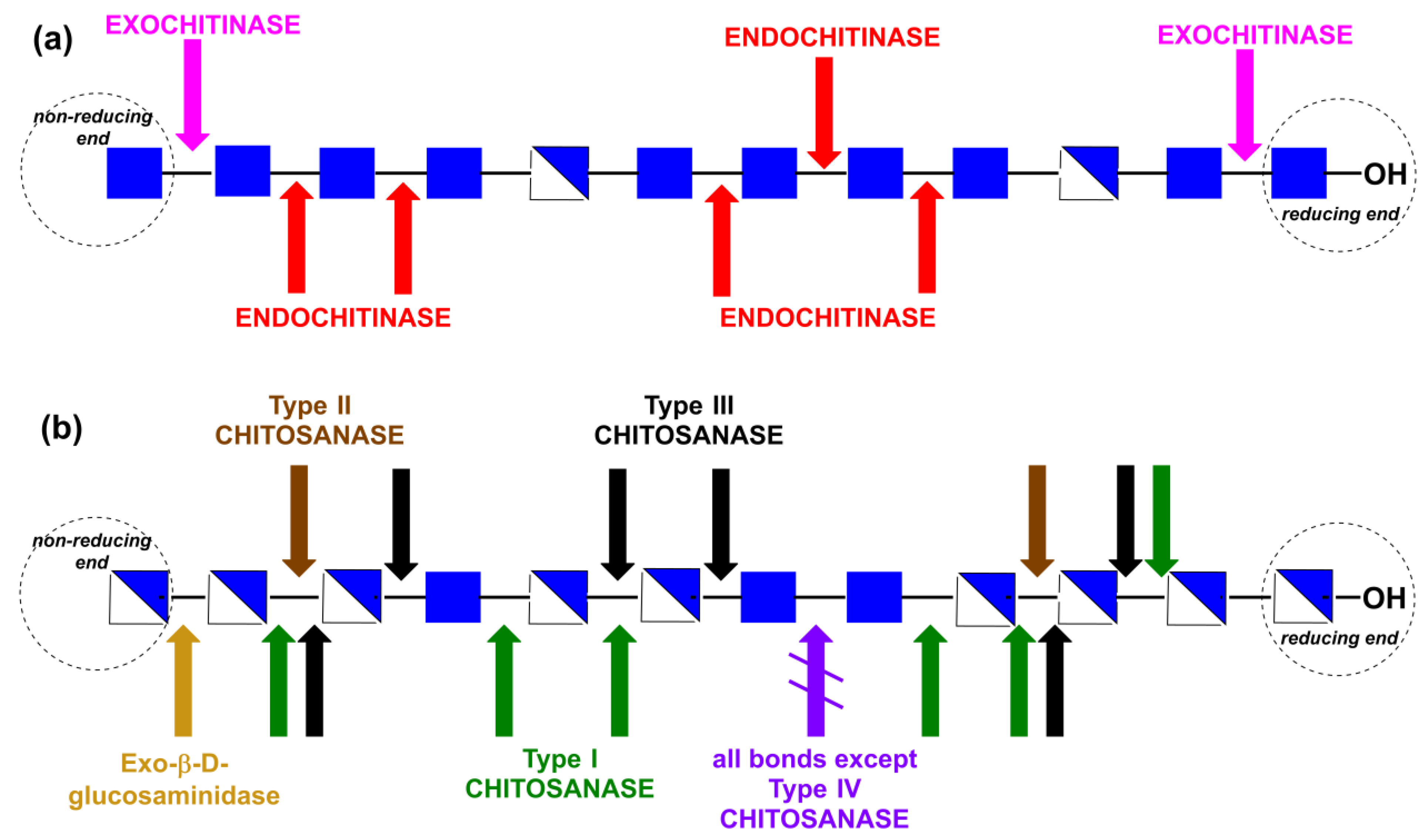 Catalysts 14 00371 g003